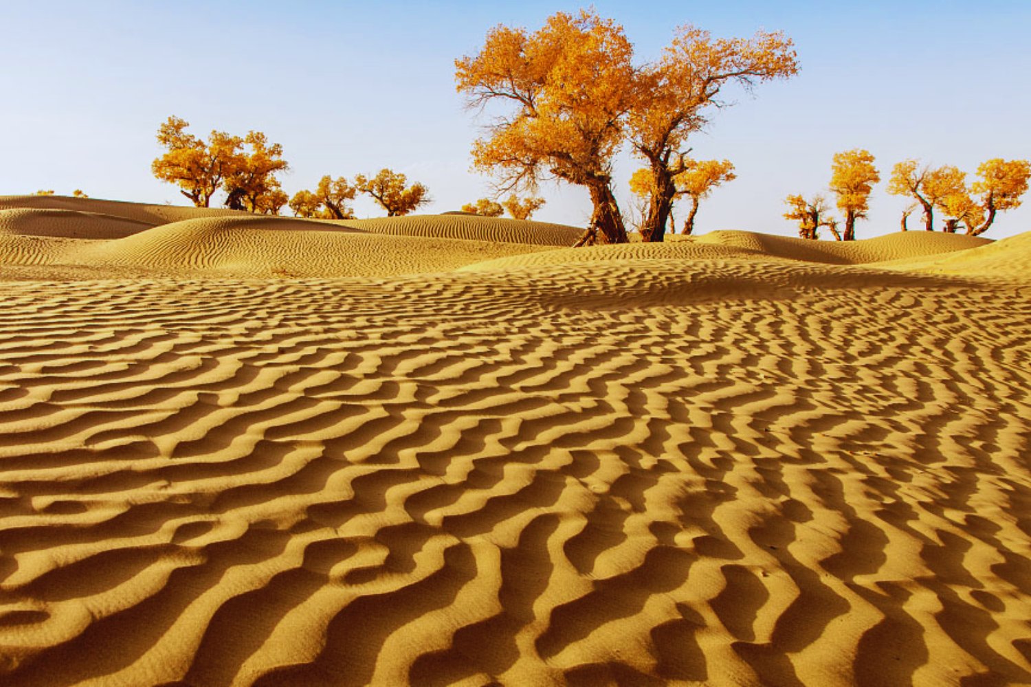 China está intentando domesticar uno de los desiertos más hostiles del planeta. Y lo está haciendo con paja, sal a 540 grados y paneles solares