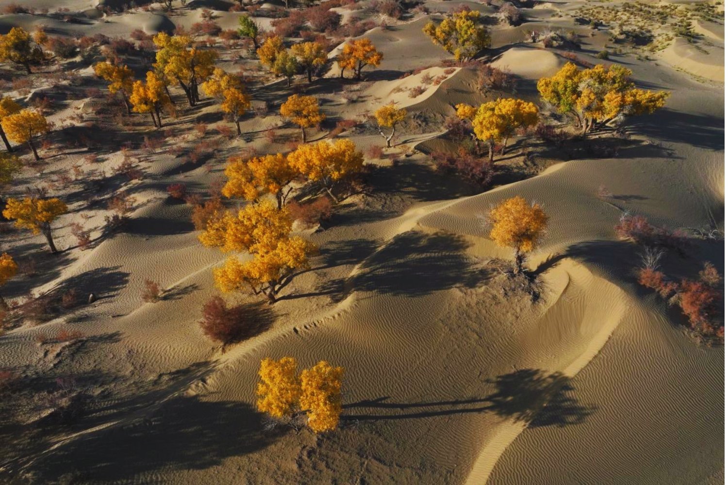 China está intentando domesticar uno de los desiertos más hostiles del planeta. Y lo está haciendo con paja, sal a 540 grados y paneles solares