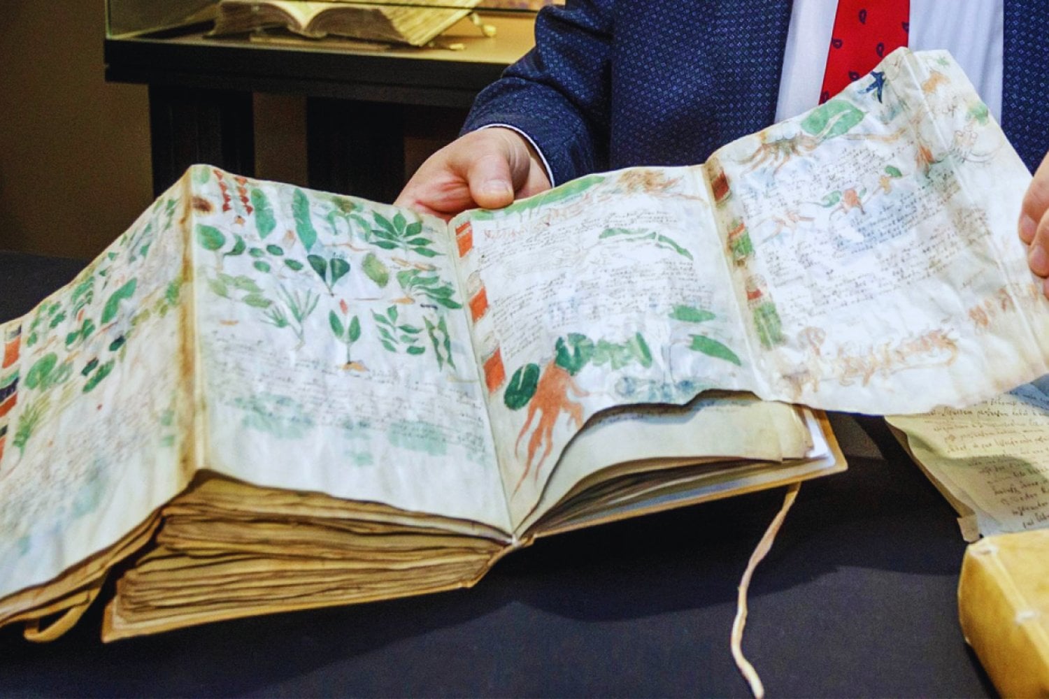 El manuscrito Voynich no es solo indescifrable, es deliberadamente tramposo. Un nuevo estudio explica cómo pudo diseñarse para engañar a todos… y por qué alguien podría estar más cerca de romperlo