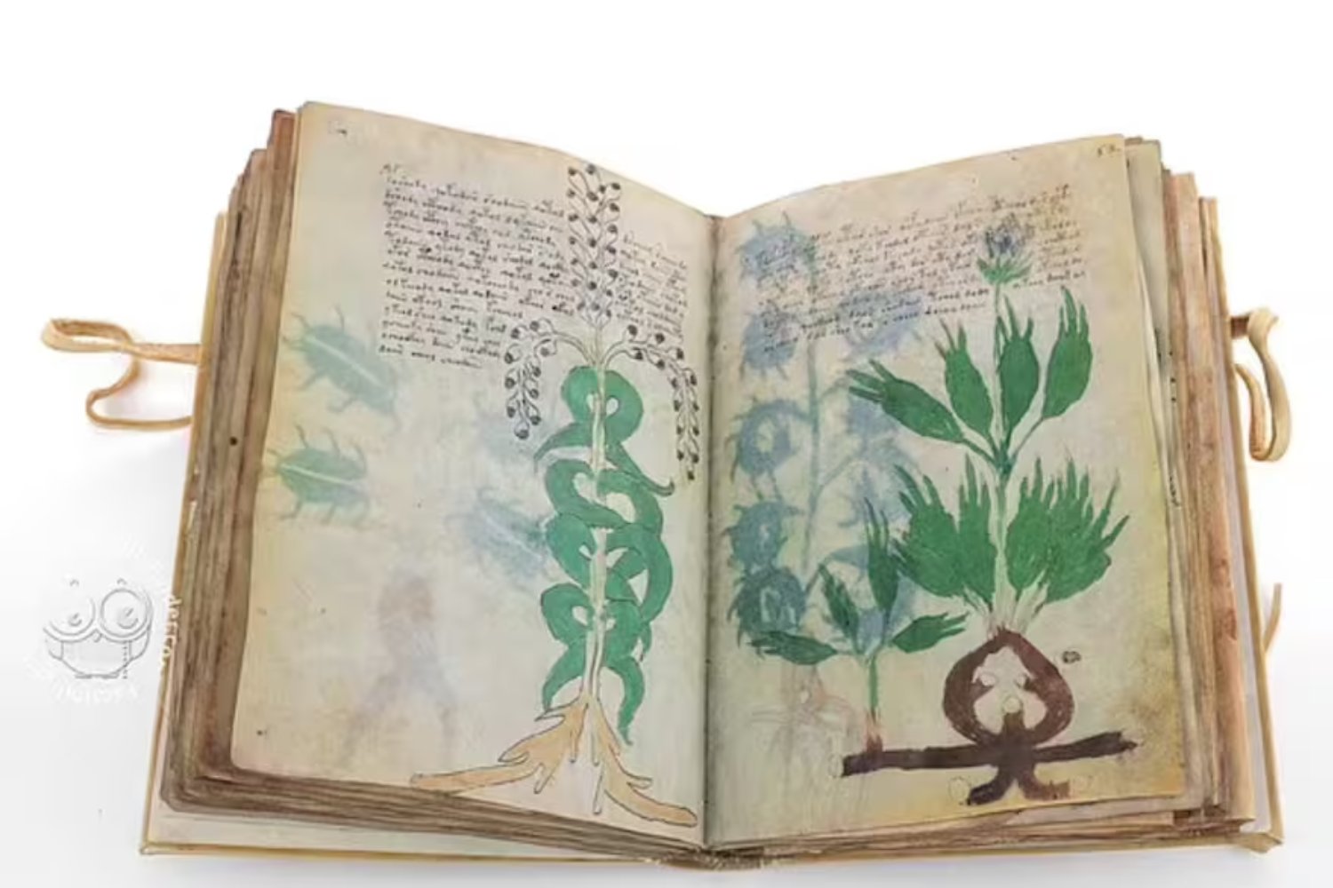 El manuscrito Voynich no es solo indescifrable, es deliberadamente tramposo. Un nuevo estudio explica cómo pudo diseñarse para engañar a todos… y por qué alguien podría estar más cerca de romperlo