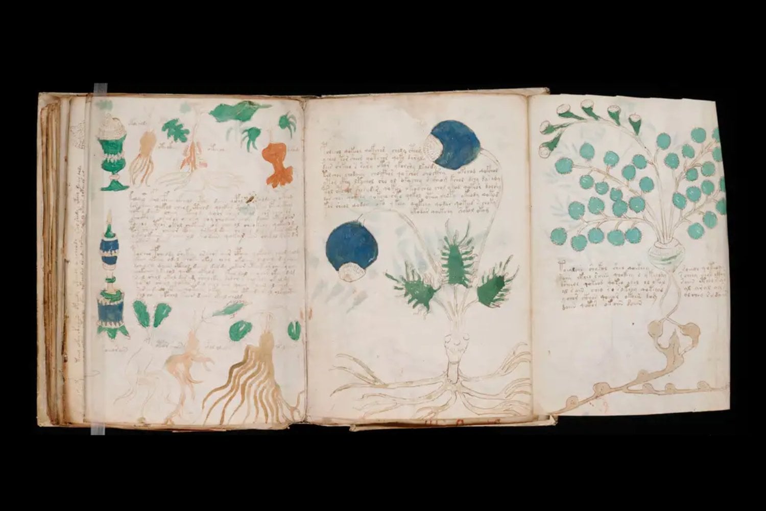 El manuscrito Voynich no es solo indescifrable, es deliberadamente tramposo. Un nuevo estudio explica cómo pudo diseñarse para engañar a todos… y por qué alguien podría estar más cerca de romperlo