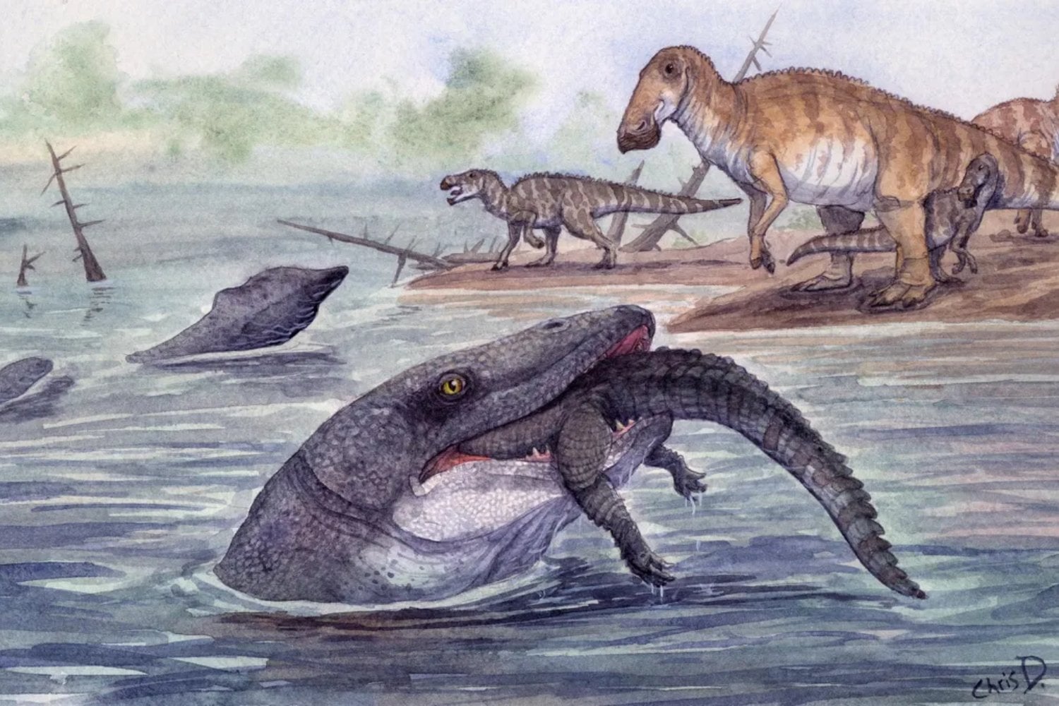 Un diente de hace 66 millones de años ha cambiado lo que sabíamos de los ríos prehistóricos. Allí vivía un depredador más grande que un autobús