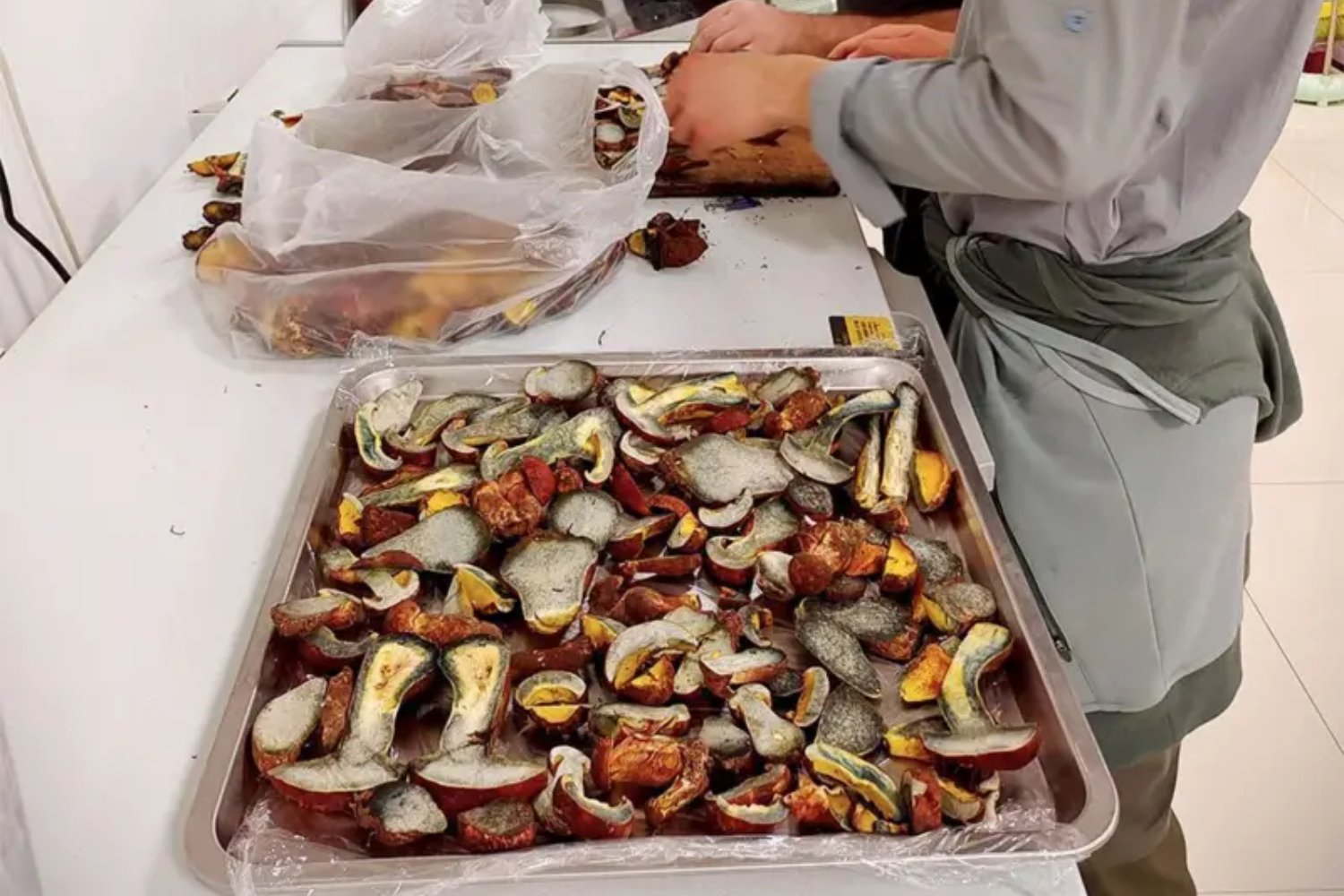 Un hongo provoca visiones de humanos diminutos. La ciencia intenta descifrar uno de los efectos alucinógenos más extraños conocidos