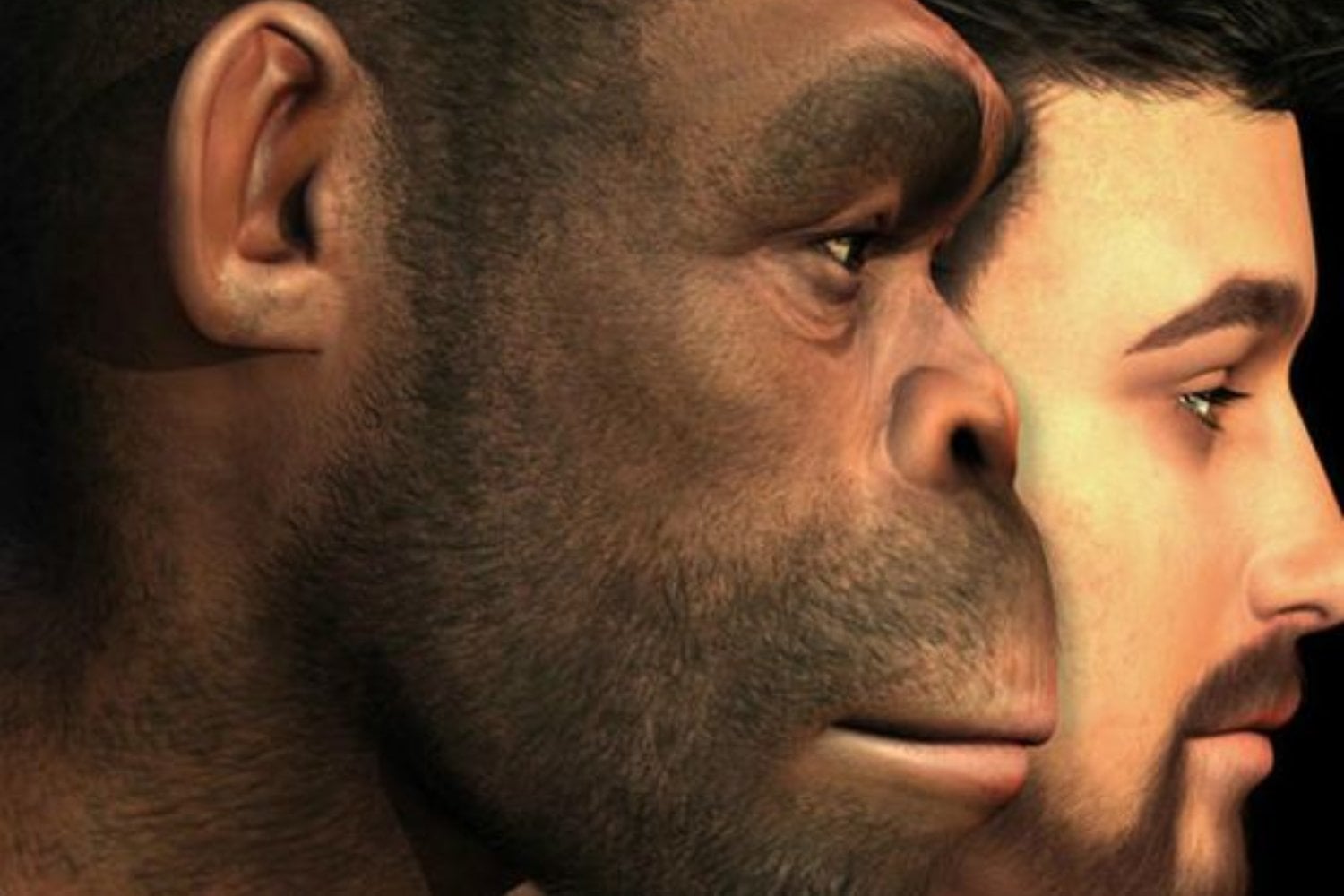 Una cueva de Indonesia acaba de cambiar la historia humana. Las evidencias apuntan a que dos especies pudieron convivir hace más de 40.000 años