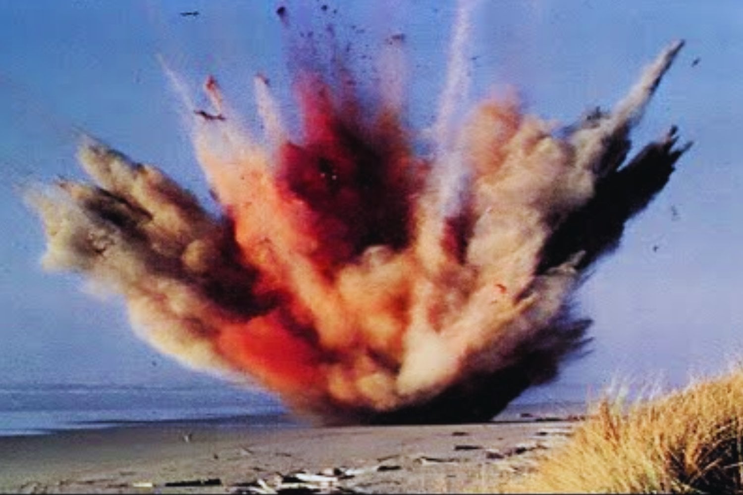 El día que un pueblo pensó que la dinamita era una buena idea para quitar una ballena muerta de la playa. 55 años después siguen celebrando el error más famoso de Oregón