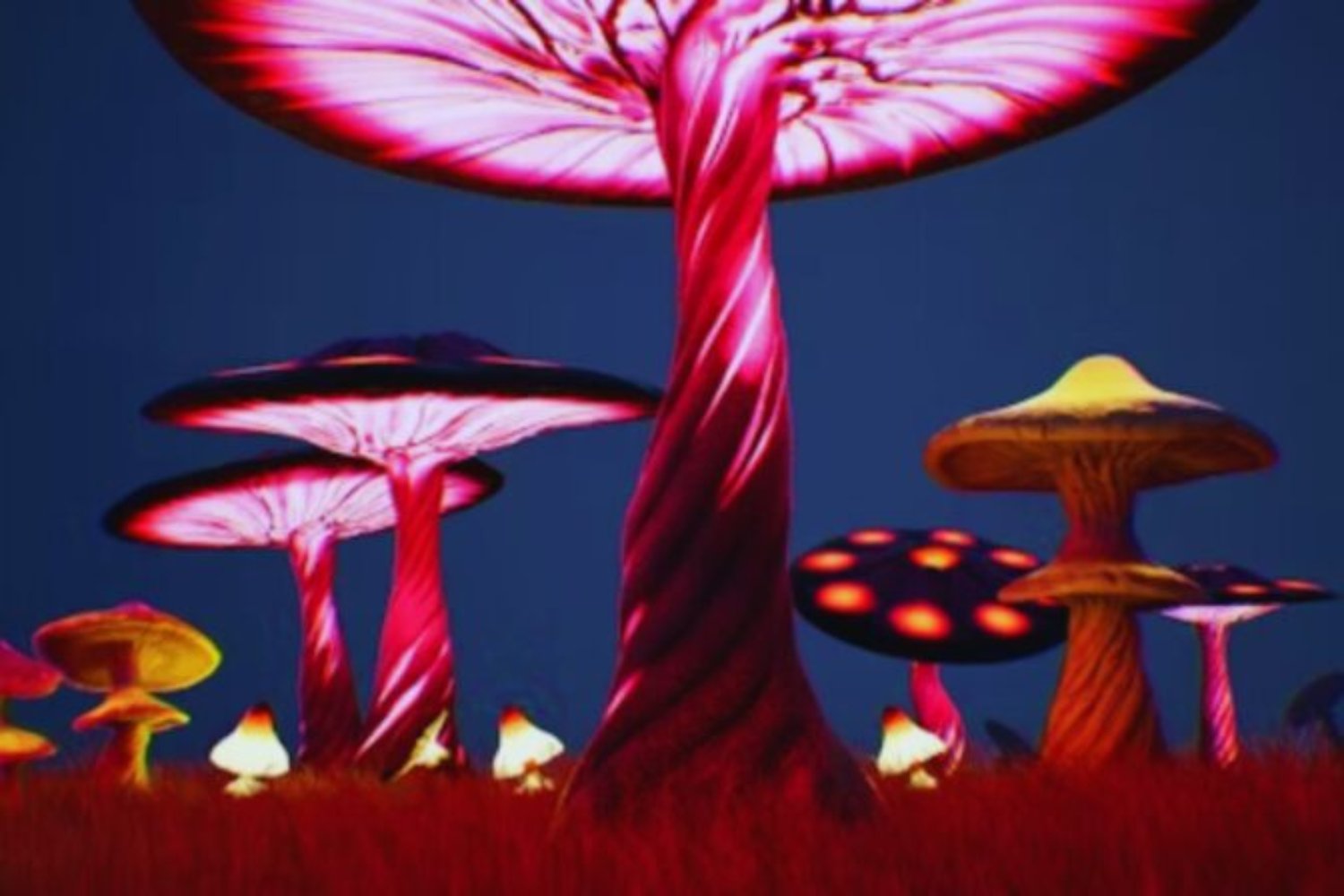 Un hongo provoca visiones de humanos diminutos. La ciencia intenta descifrar uno de los efectos alucinógenos más extraños conocidos