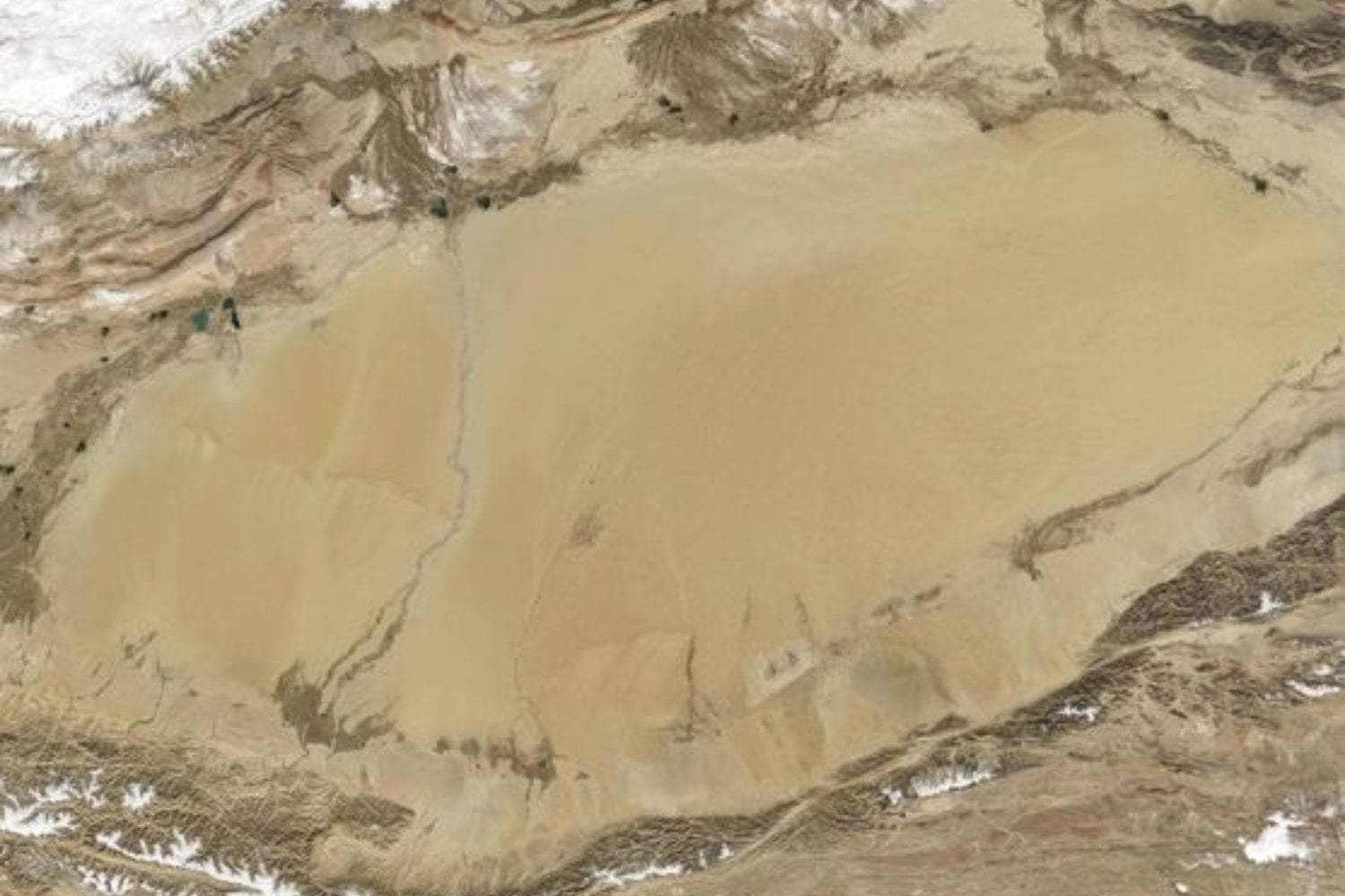 El desierto más hostil de China ahora produce mariscos. Así lograron criar peces donde solo había arena y calor extremo