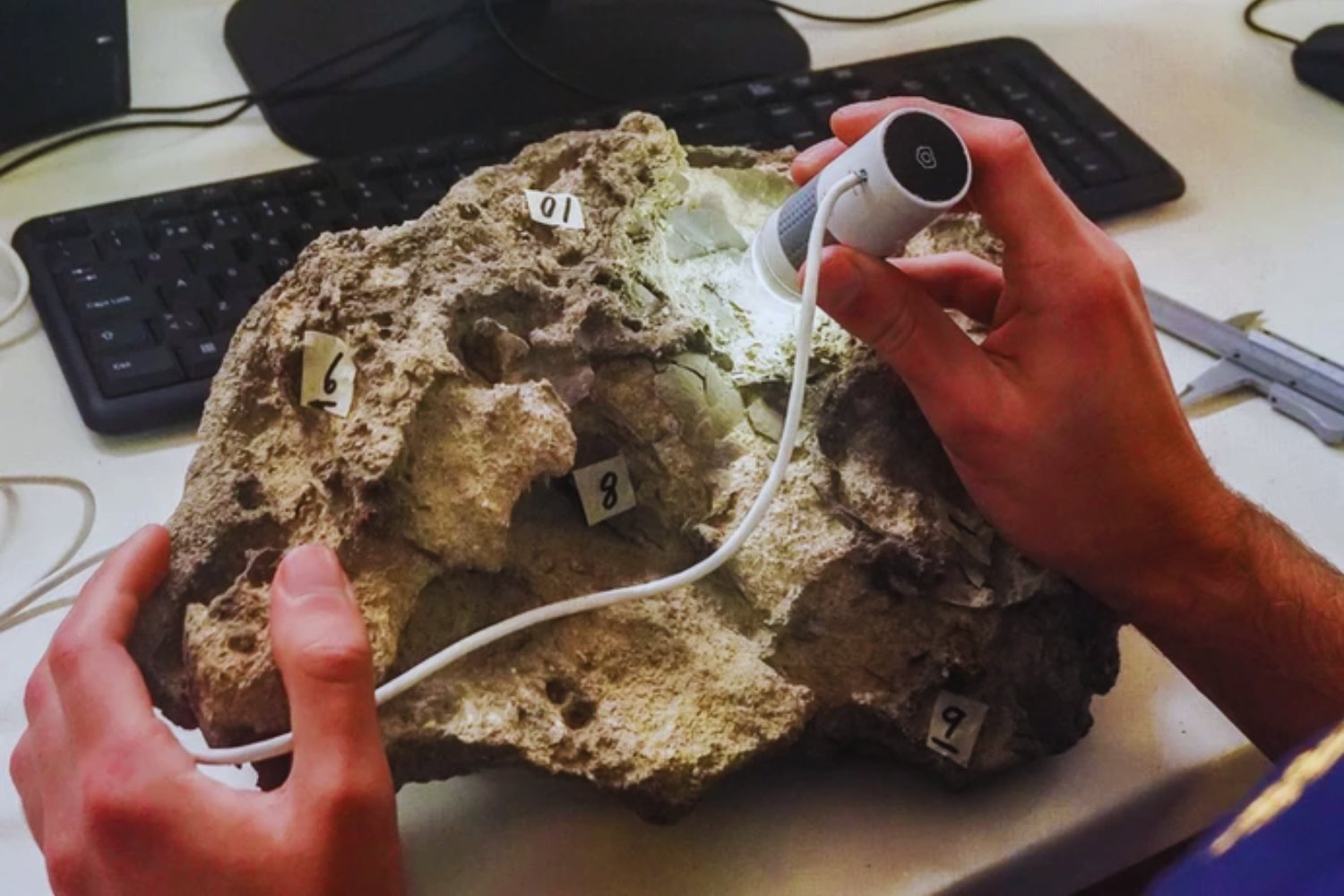 Diez huevos de dinosaurio emergen de un acantilado en Portugal. El hallazgo revela cómo se reproducían en el Jurásico Superior