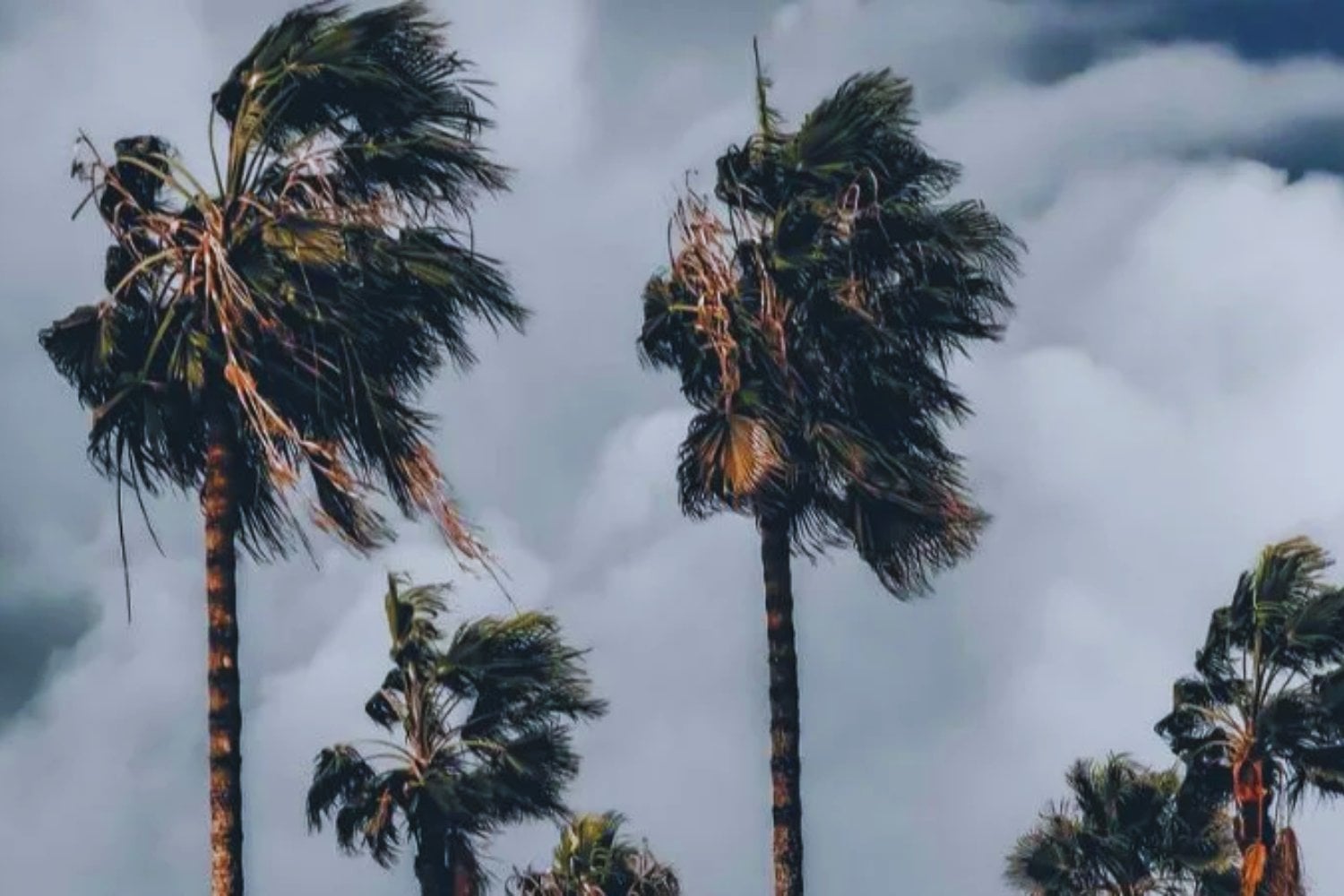 La atmósfera arranca 2026 sin tregua. Una borrasca activa lluvias intensas, vientos fuertes y alertas en varias regiones