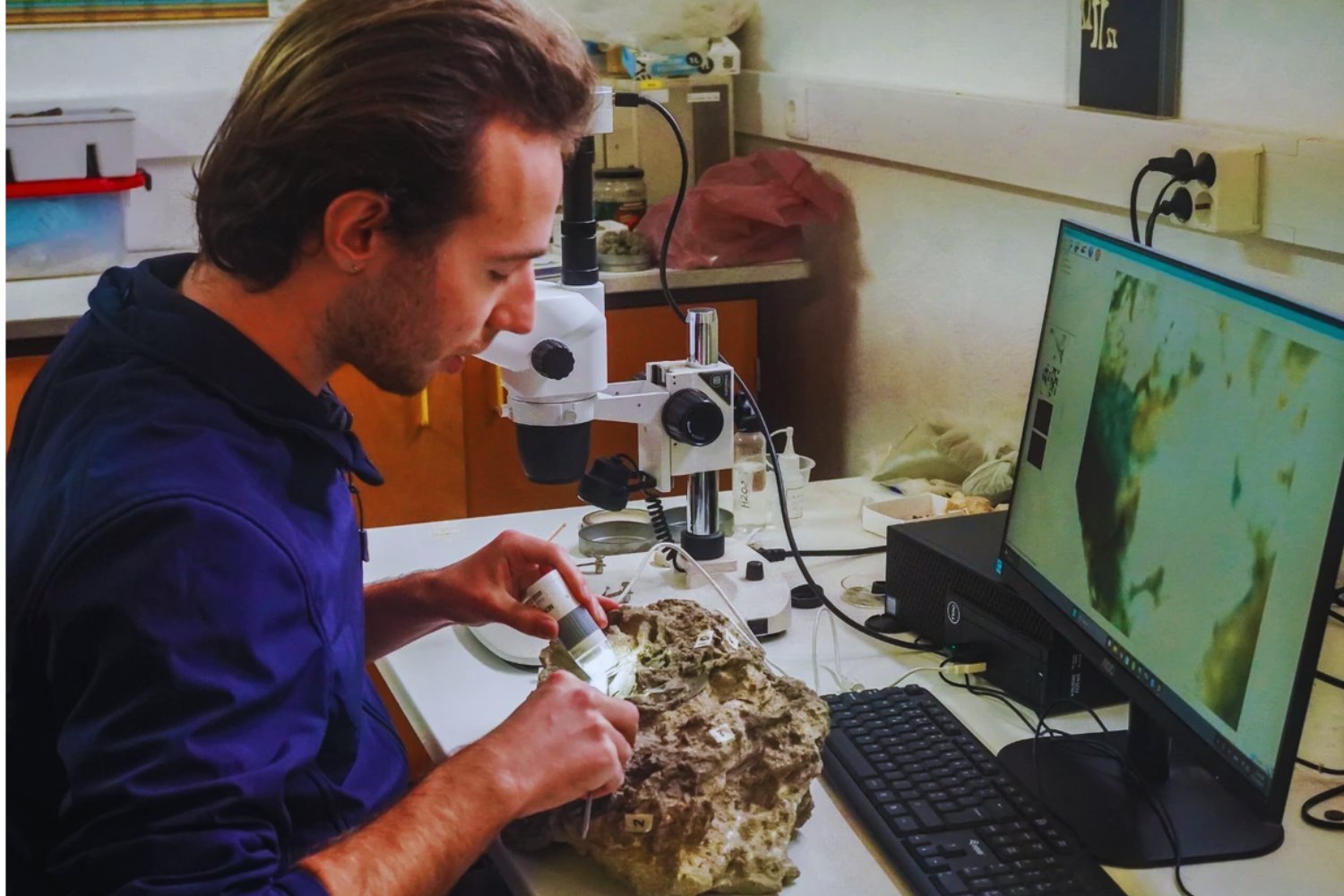 Diez huevos de dinosaurio emergen de un acantilado en Portugal. El hallazgo revela cómo se reproducían en el Jurásico Superior