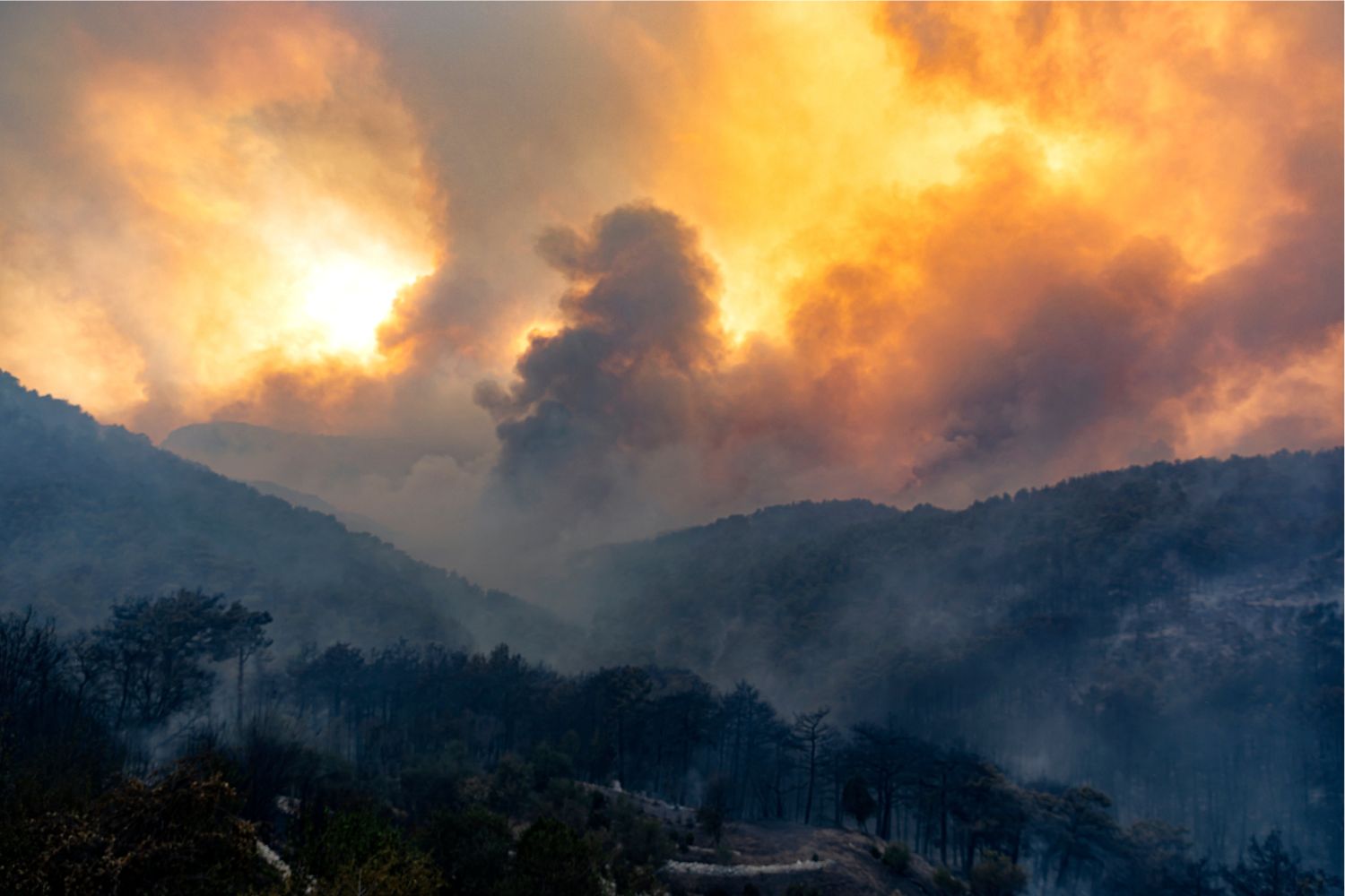 Diseño Sin Título (52)