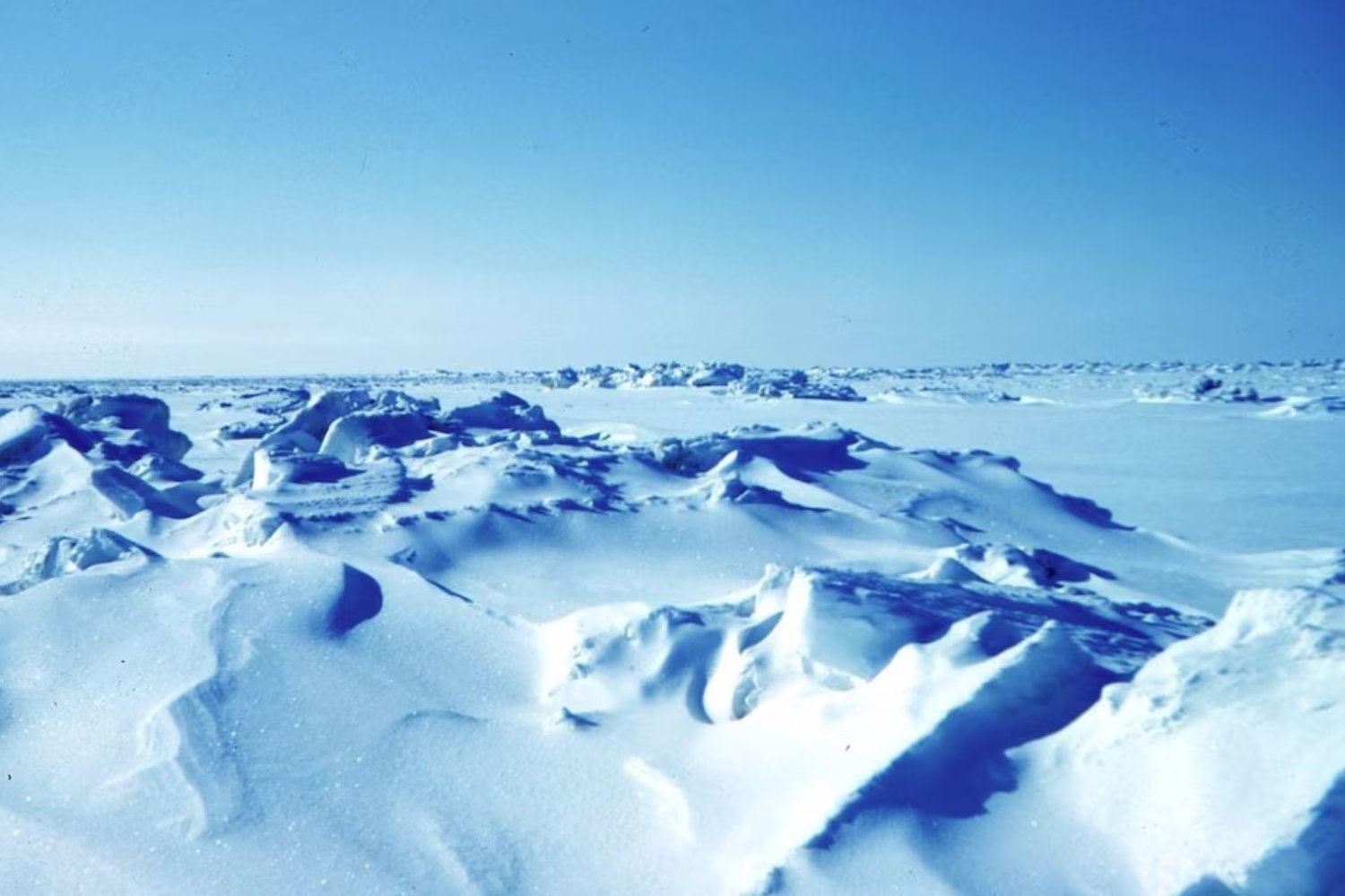 Cuando el mar dejó de tener calcio, el planeta empezó a congelarse. La pista clave del mayor cambio climático antiguo