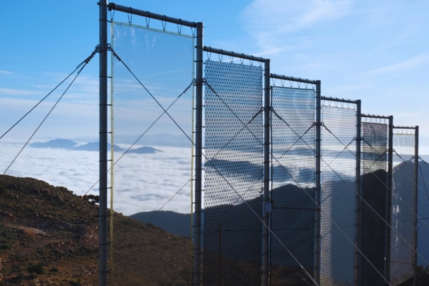 En el desierto no hay agua. Pero sí hay niebla. Y esta tecnología alemana aprendió a exprimirla para abastecer pueblos enteros
