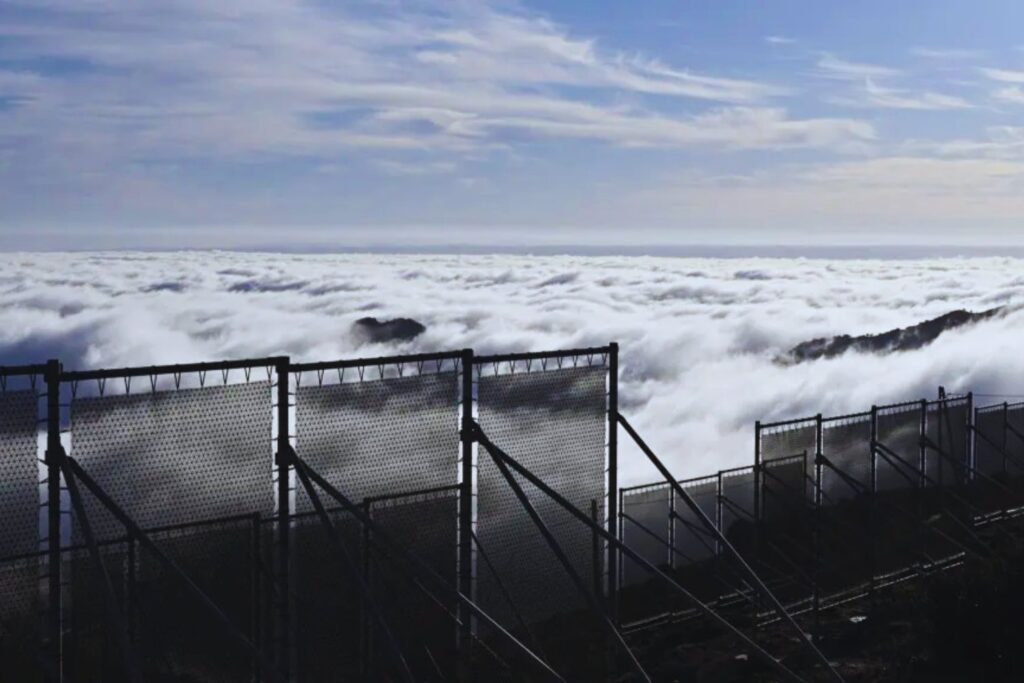 En el desierto no hay agua. Pero sí hay niebla. Y esta tecnología alemana aprendió a exprimirla para abastecer pueblos enteros
