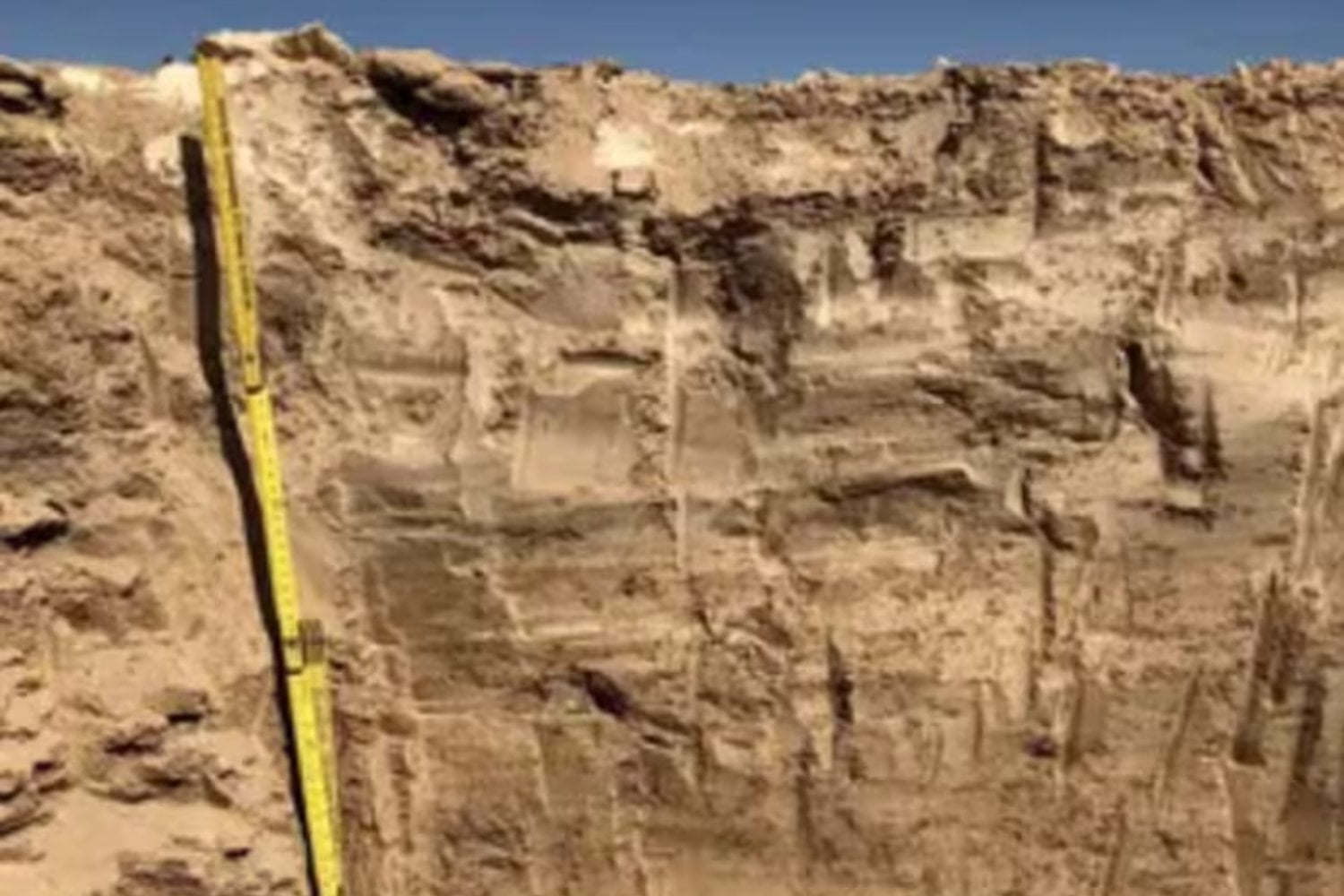 Durante 19.000 años nadie lo vio bajo el desierto más seco del mundo. El hallazgo que acaba de cambiar lo que sabemos sobre la vida