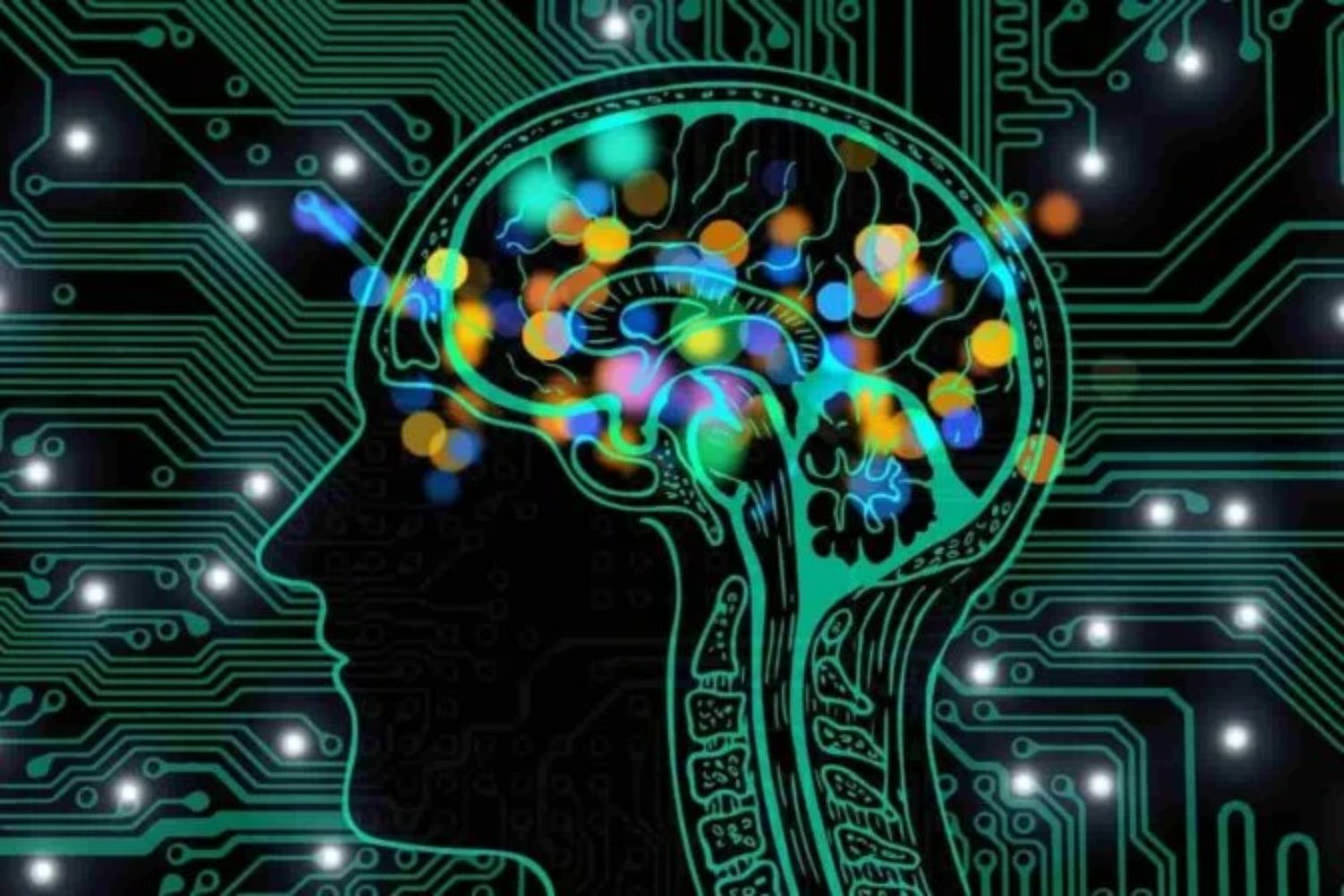 La ciencia replicó un cerebro humano con inteligencia artificial y lo que descubrió sobre el miedo no encaja con décadas de estudios