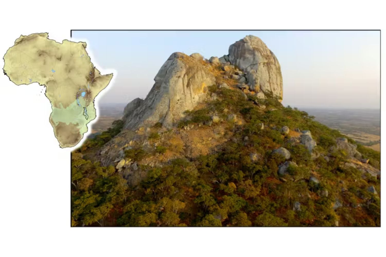 Diseño Sin Título (64)