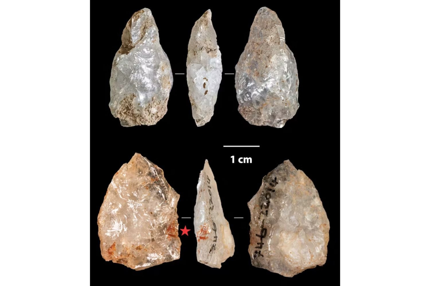 Diseño Sin Título (68)
