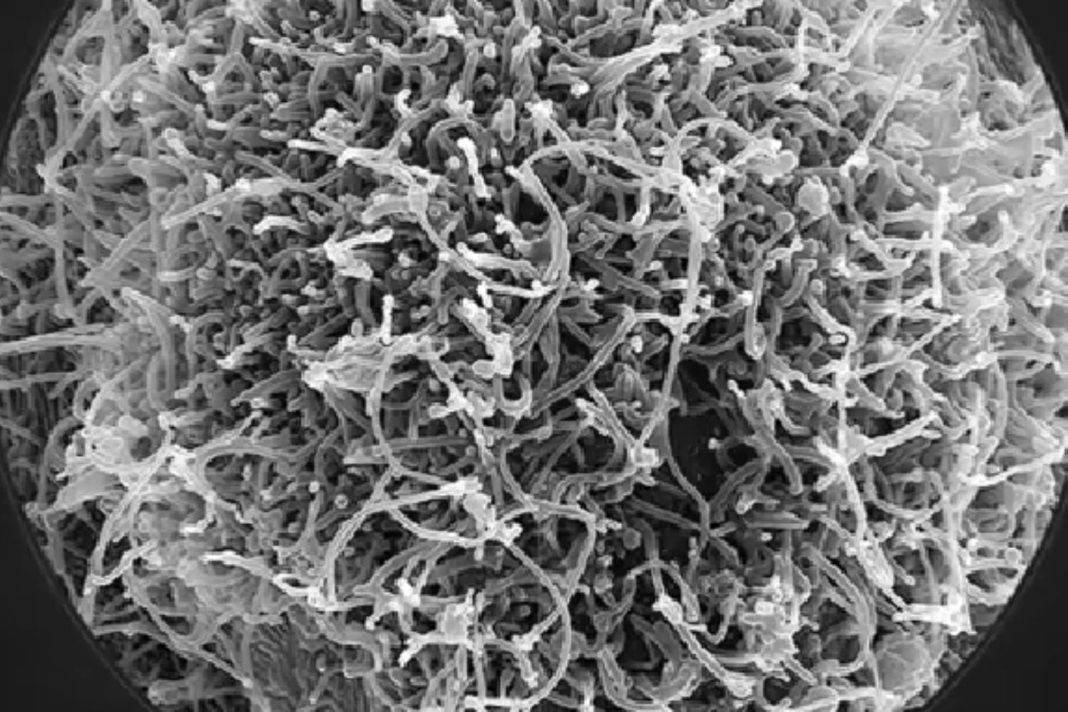 Diseño Sin Título (73)