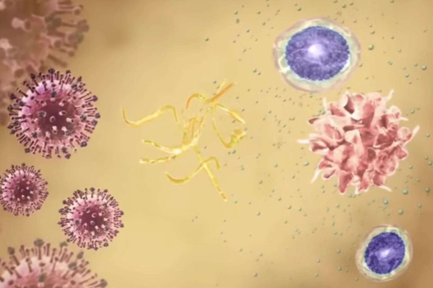 Diseño Sin Título (74)