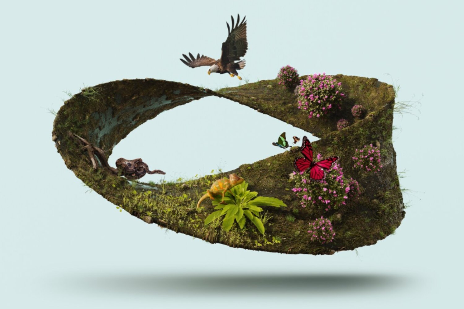 La vida en la Tierra es mucho más vasta de lo que creíamos: la ciencia descubre especies a un ritmo récord