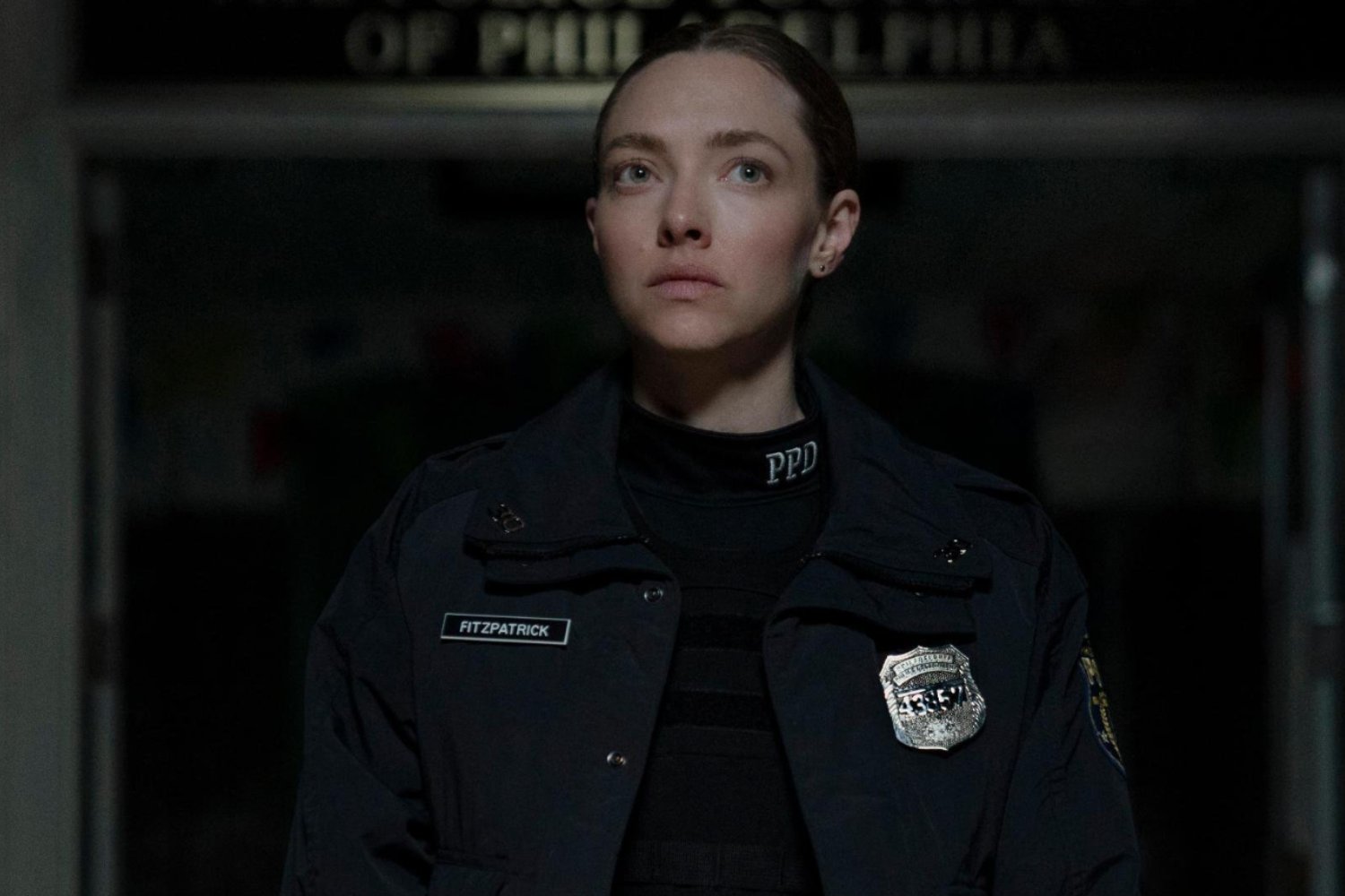 Amanda Seyfried brilla en este absorbente drama criminal