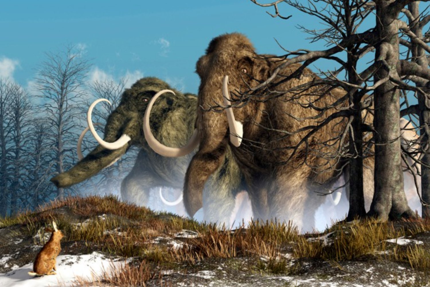 Hace 50.000 años empezó la gran caza: así desapareció la megafauna del planeta