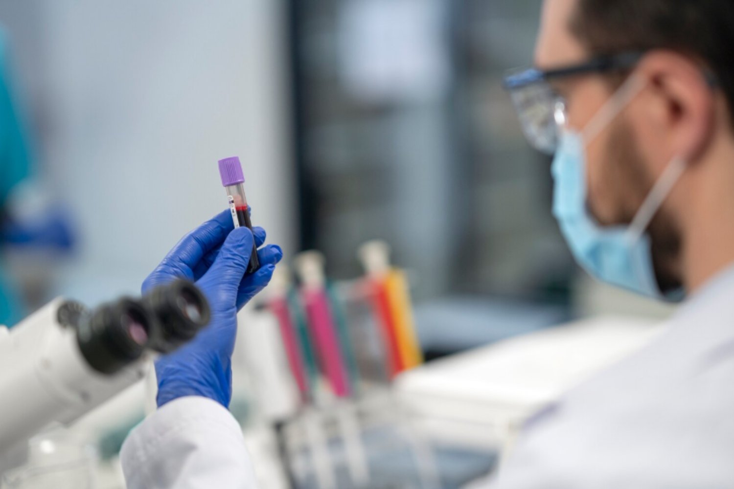 La gripe aviar ya preocupa en el océano: científicos alertan del posible salto del virus a delfines y ballenas