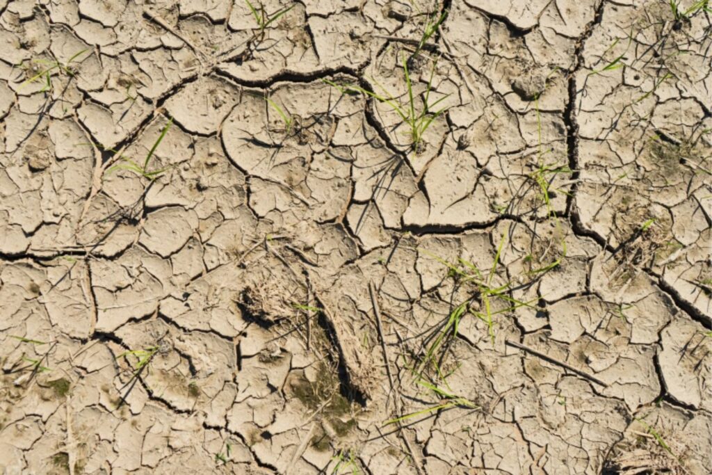 El planeta se está secando: la pérdida de agua dulce ya amenaza a cientos de millones de personas
