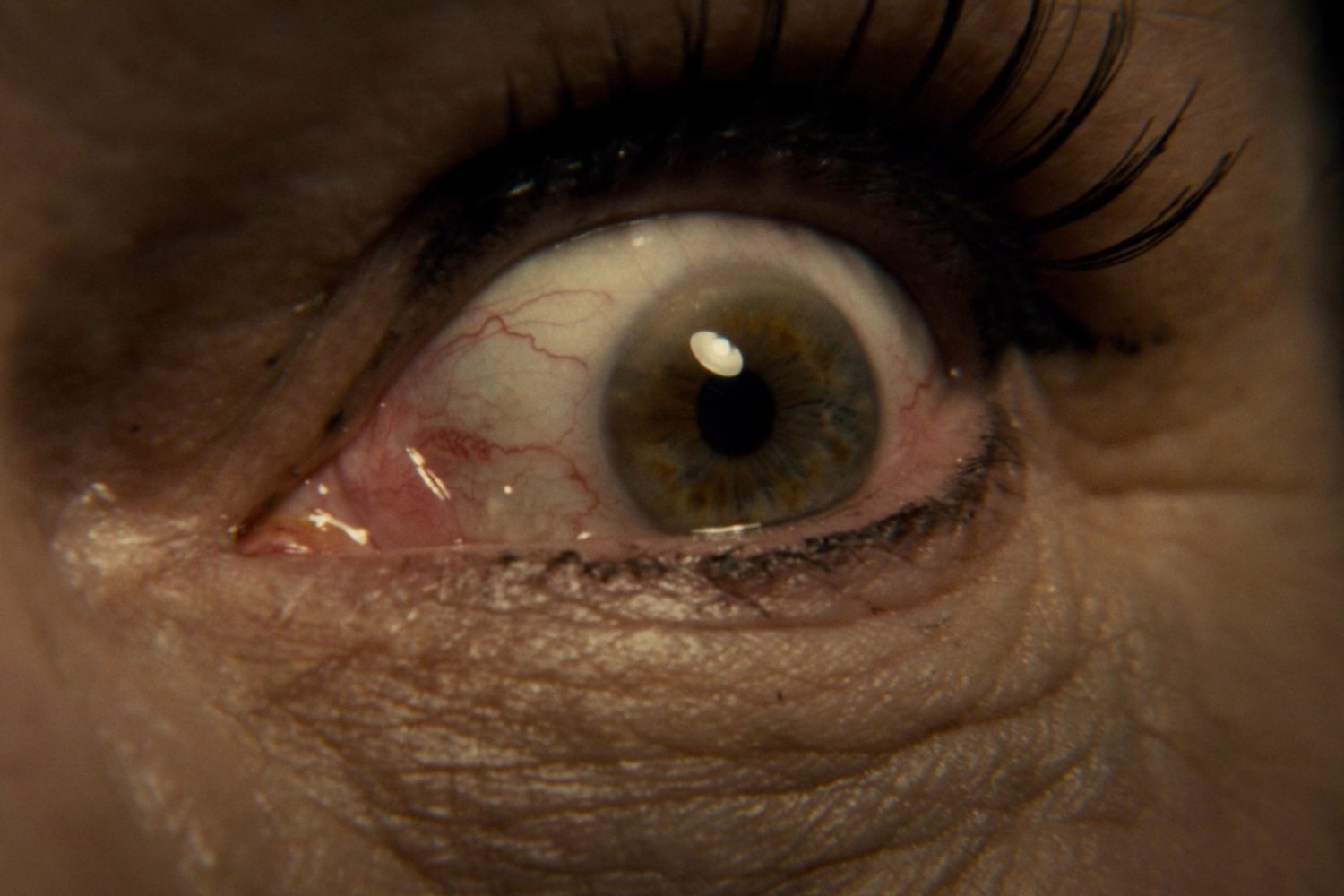 Mientras Hollywood repite fórmulas, Peter Strickland sigue creando pesadillas únicas