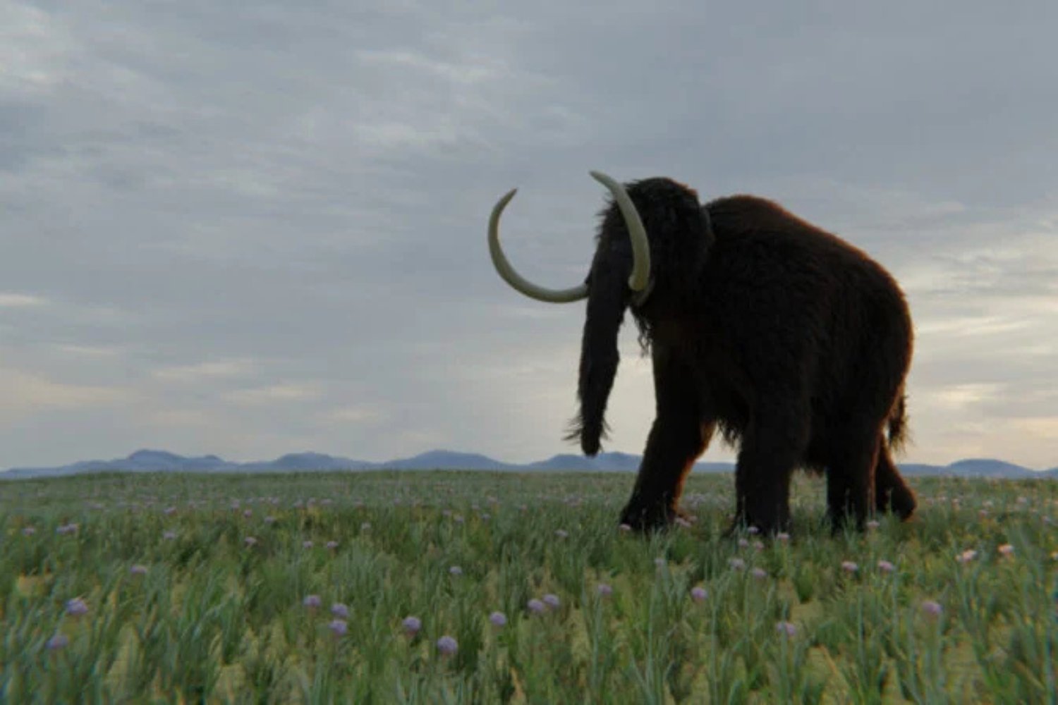 Mamut