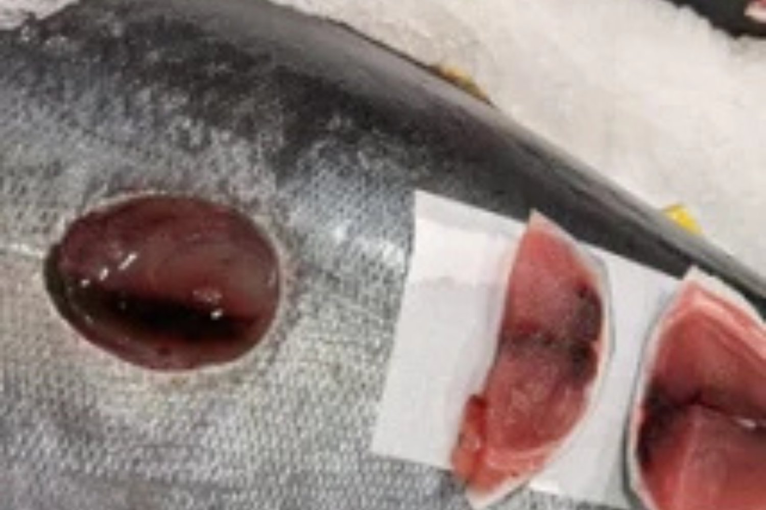 Mordida De Tiburon Cigarro