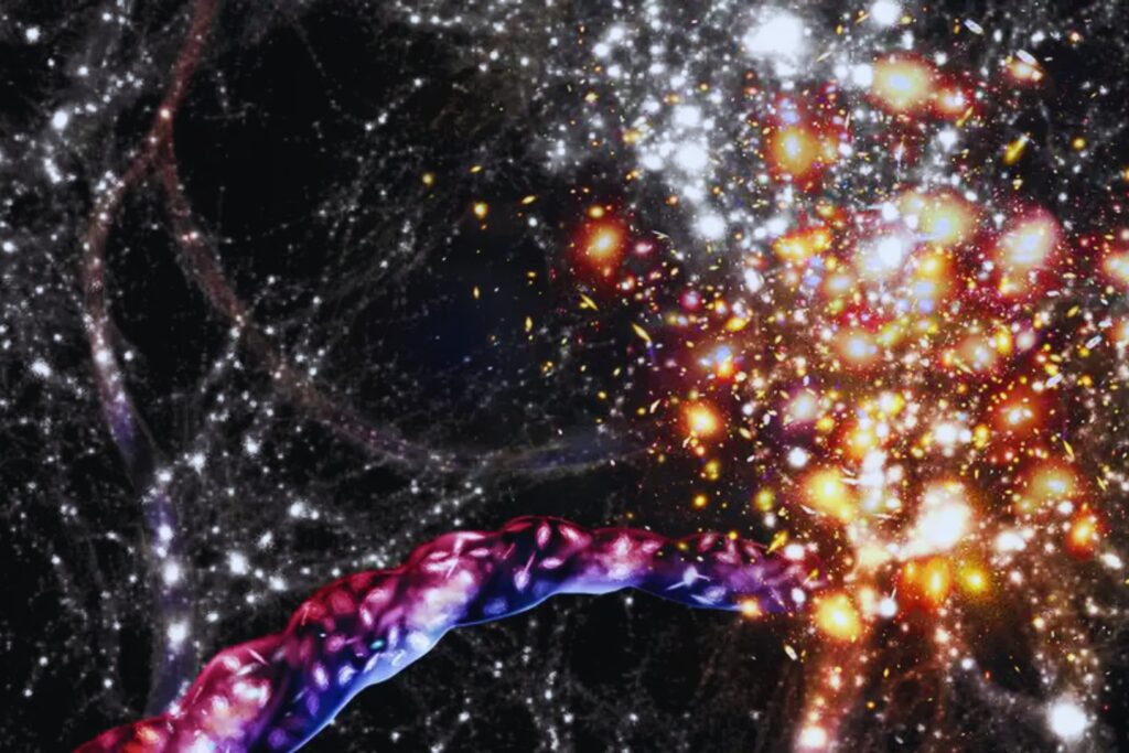 La “vid cósmica” que acaba de ver el James Webb no es una curiosidad astronómica. Es la primera pista clara de cómo el universo aprendió a organizarse desde dentro