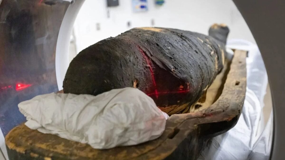 Escanean momias egipcias que llevaban más de 2.000 años sin abrirse. La tecnología médica y los modelos 3D están revelando secretos que habían quedado ocultos y que nadie había visto antes