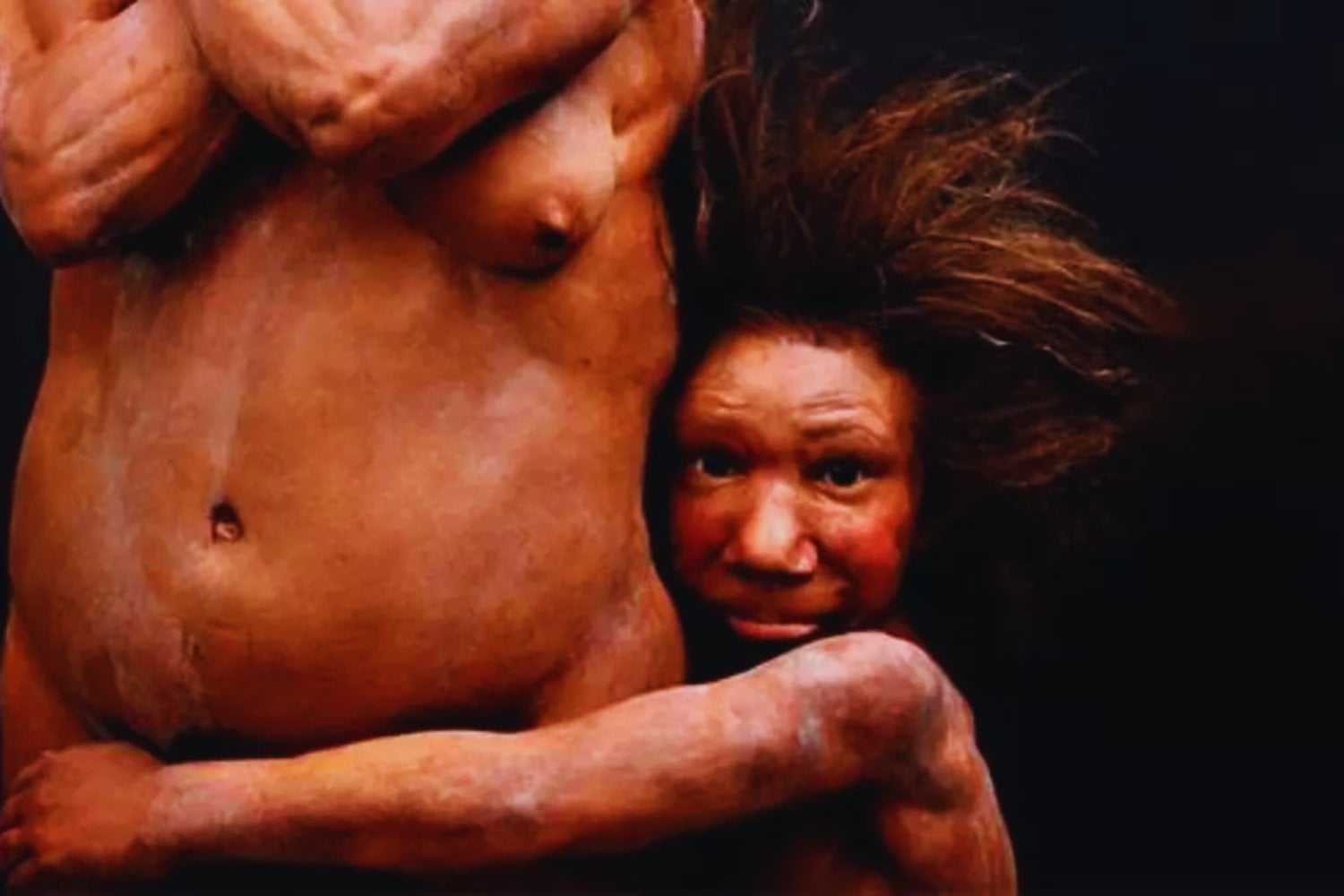 Un estudio sugiere que el embarazo pudo ser un punto débil crítico en los neandertales. La biología reproductiva como pieza olvidada de su desaparición