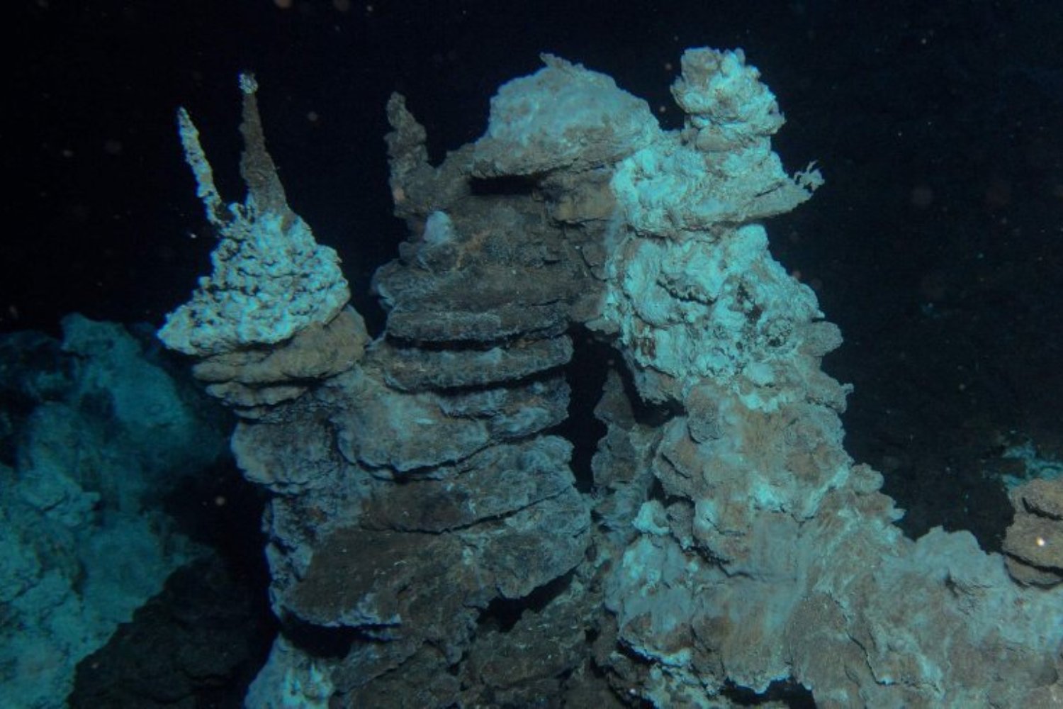 El genoma guarda restos de una etapa anterior a la vida moderna. Algunos genes podrían ser más antiguos que el primer ancestro común de todos los seres vivos