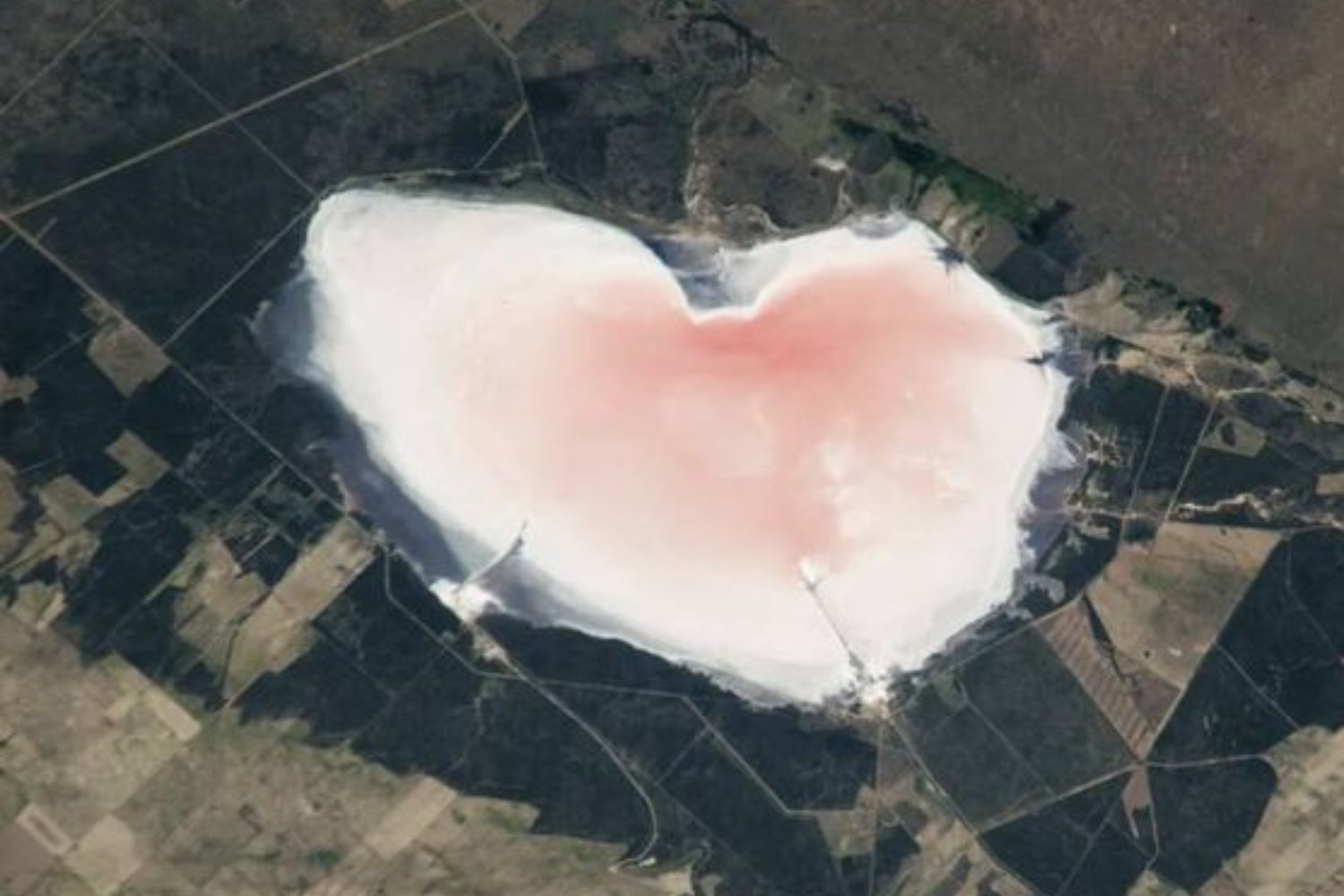 La NASA fotografió desde la Estación Espacial Internacional una laguna argentina con forma de corazón rosa. Lo que parece un símbolo romántico es en realidad un experimento natural a escala planetaria