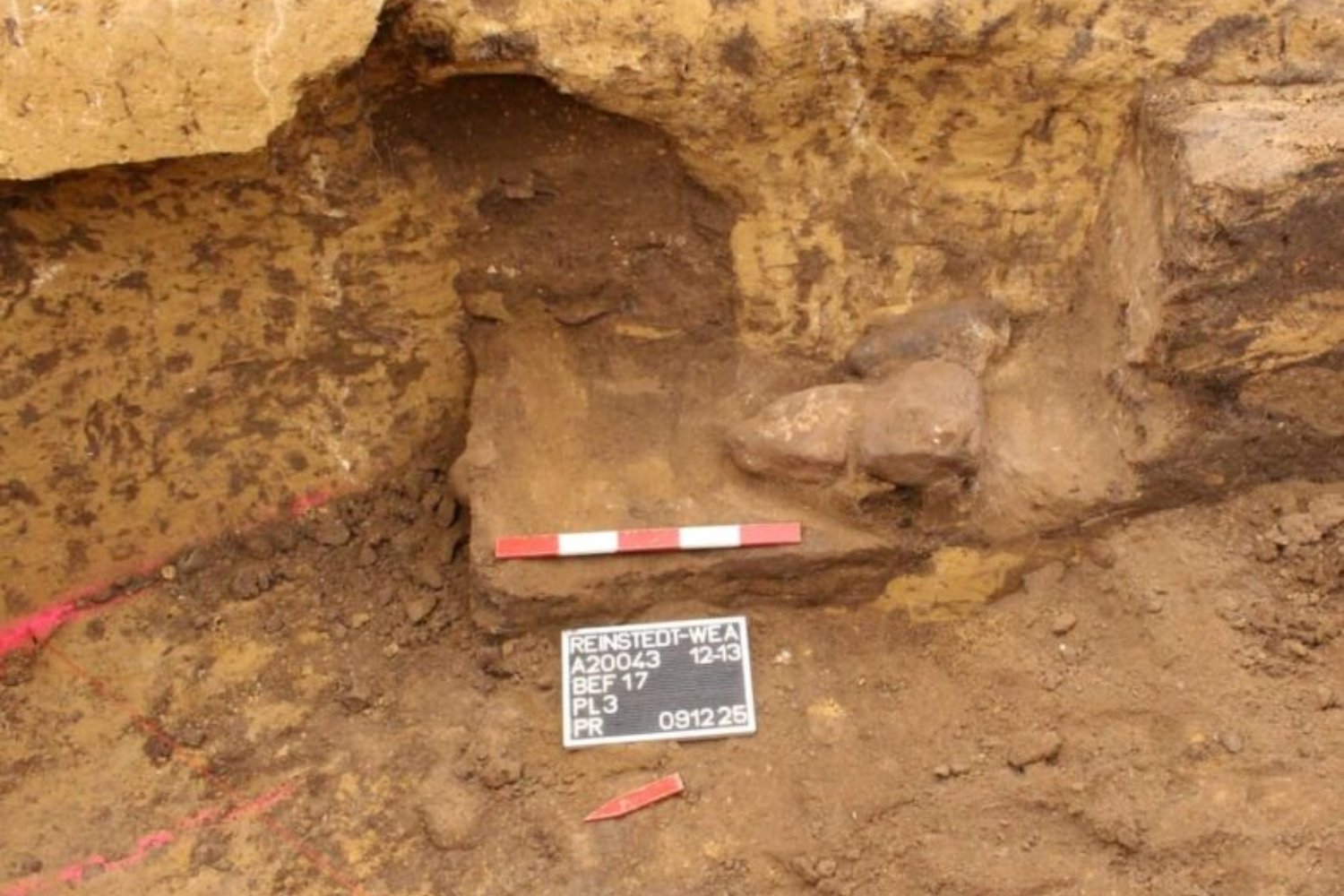 Otro misterio en Europa al que le cuesta encontrarle una explicación. Un túnel medieval excavado dentro de una tumba neolítica reabre uno de los mayores enigmas arqueológicos europeos