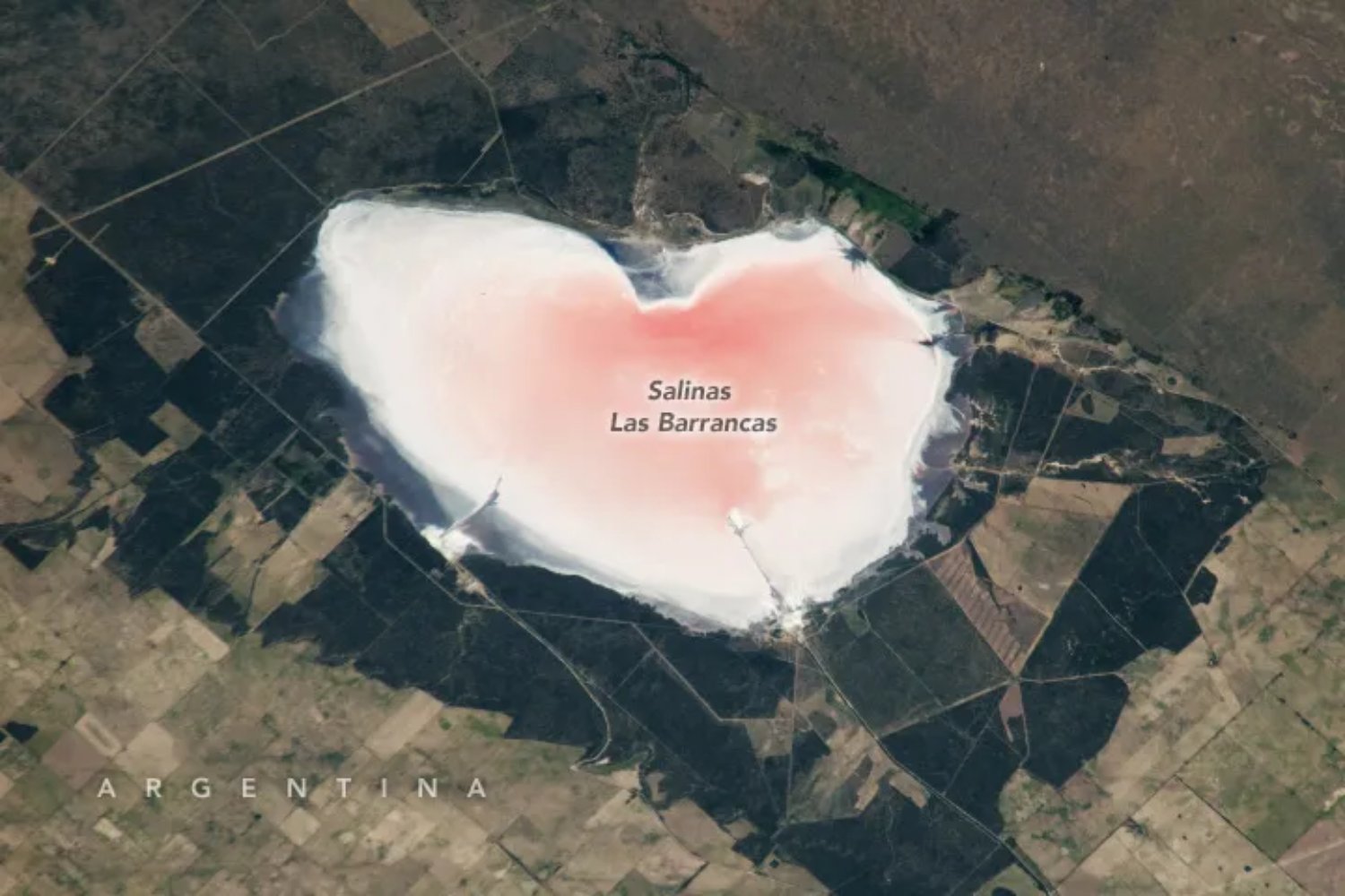 La NASA fotografió desde la Estación Espacial Internacional una laguna argentina con forma de corazón rosa. Lo que parece un símbolo romántico es en realidad un experimento natural a escala planetaria