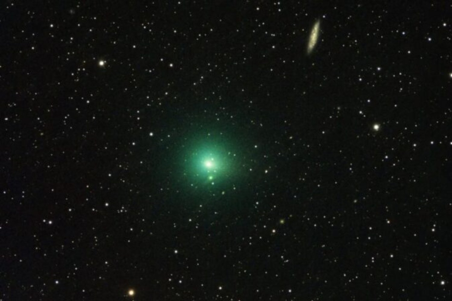 Un cometa verde del tamaño de una ciudad pasa “cerca” de la Tierra. Por qué este encuentro no es peligroso y qué nos enseña sobre estos cuerpos errantes