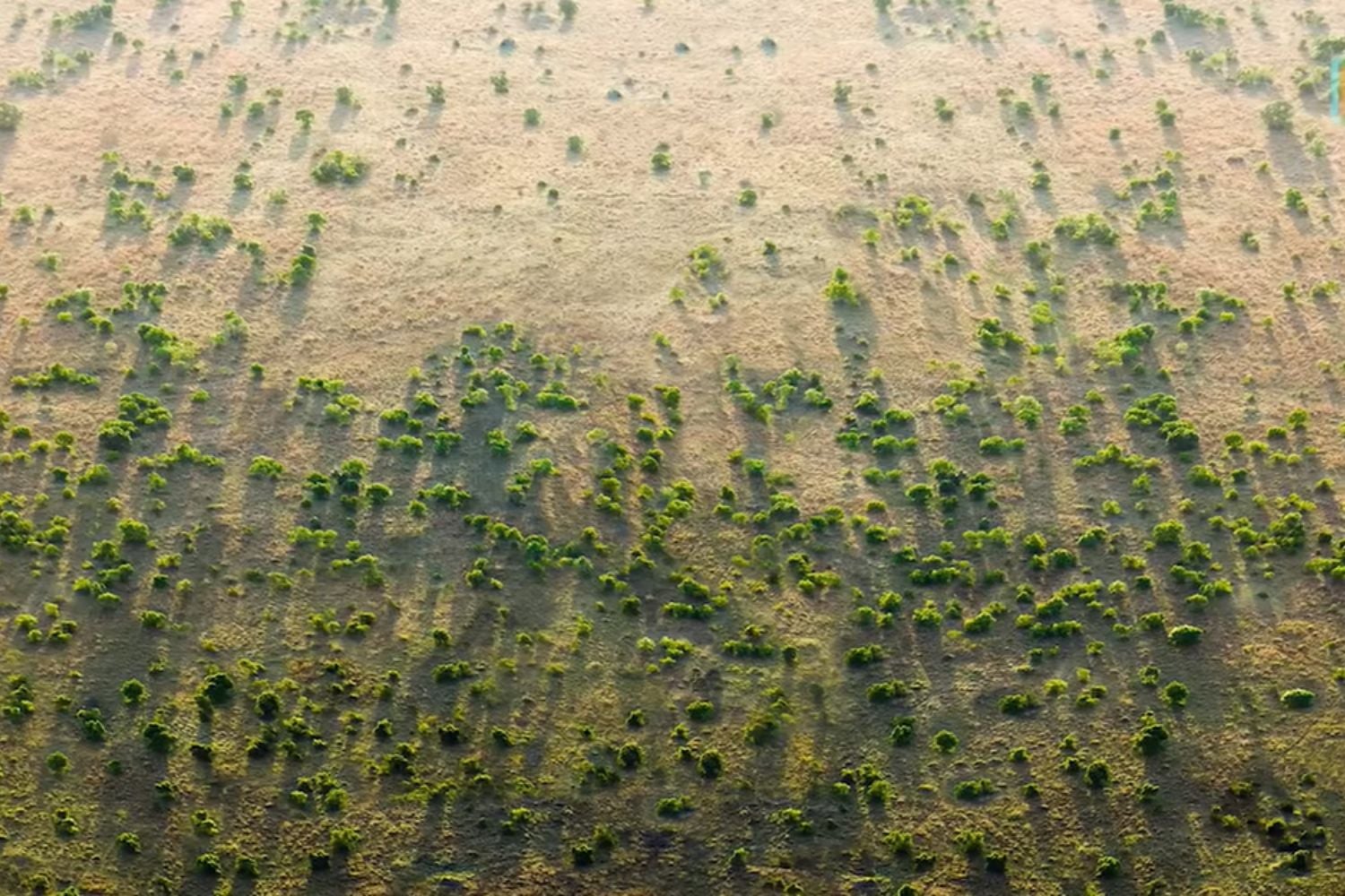 Diseño Sin Título (17)