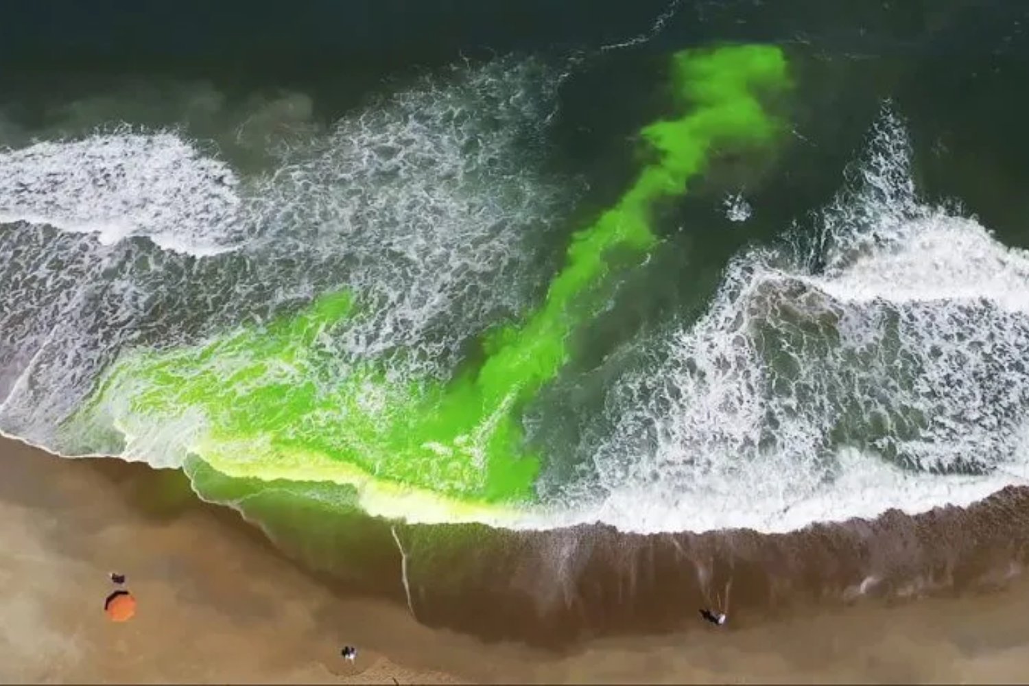 La Corriente de Florida empieza a inquietar a los científicos. Por qué los cambios en este “motor” del Atlántico podrían desordenar el clima de medio planeta