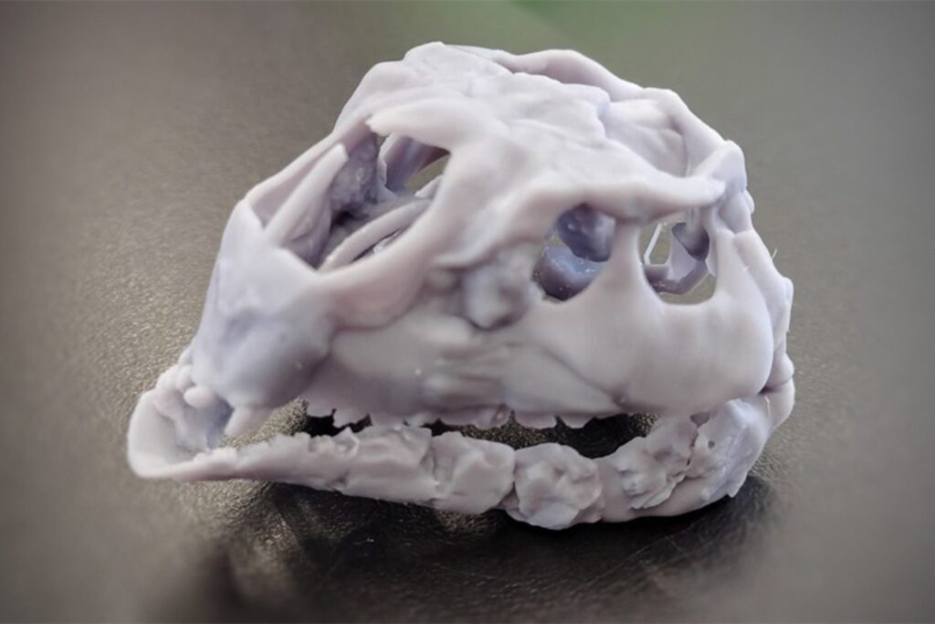 Era pequeño, corría entre bosques tropicales y nadie lo conocía. Así es el nuevo dinosaurio de 125 millones de años descrito por un científico del CONICET en España