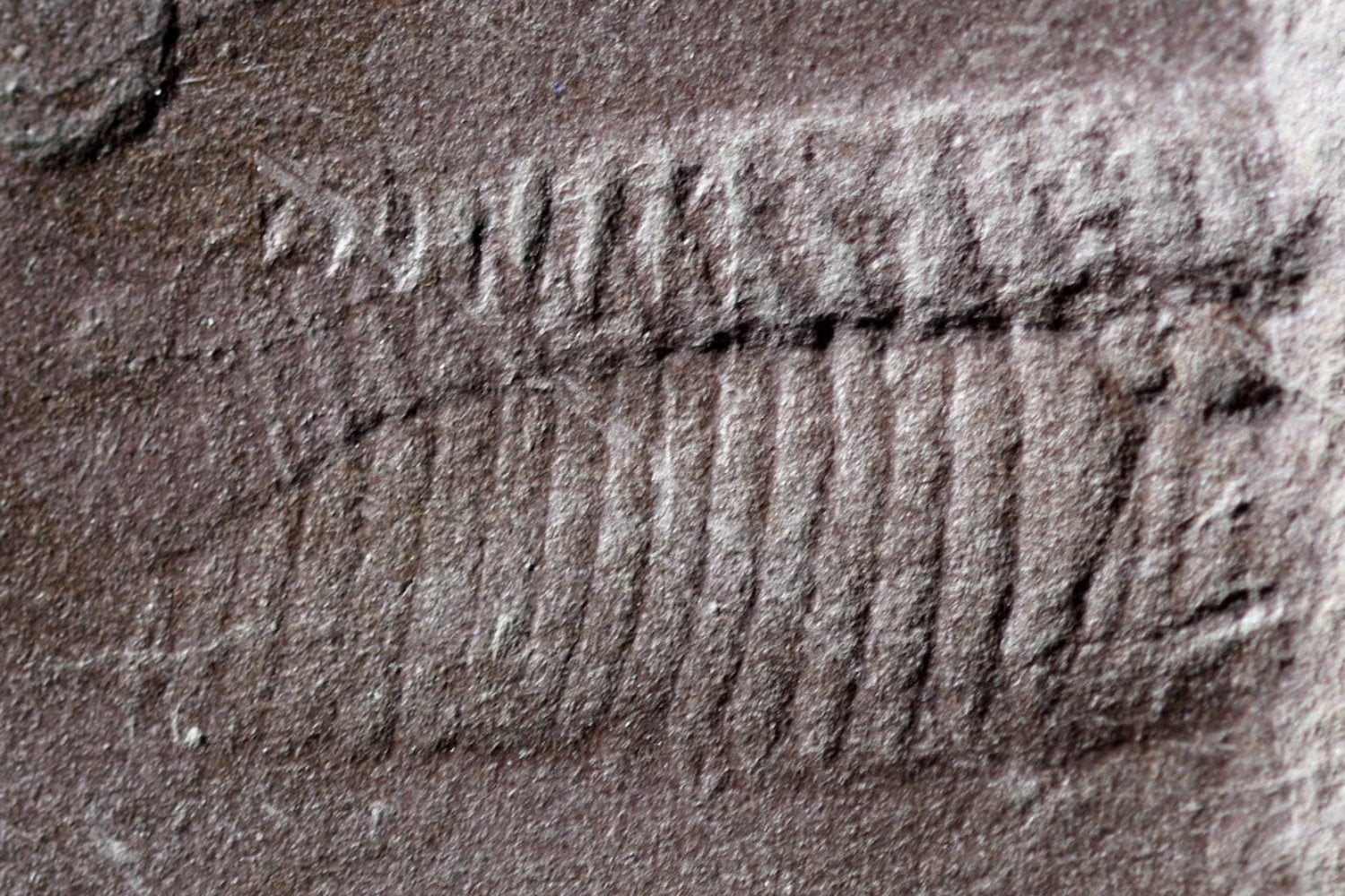 Un fósil de 300 millones de años ha conservado lo que casi nunca se conserva. Y ese detalle incómodo está reescribiendo la historia de los reptiles