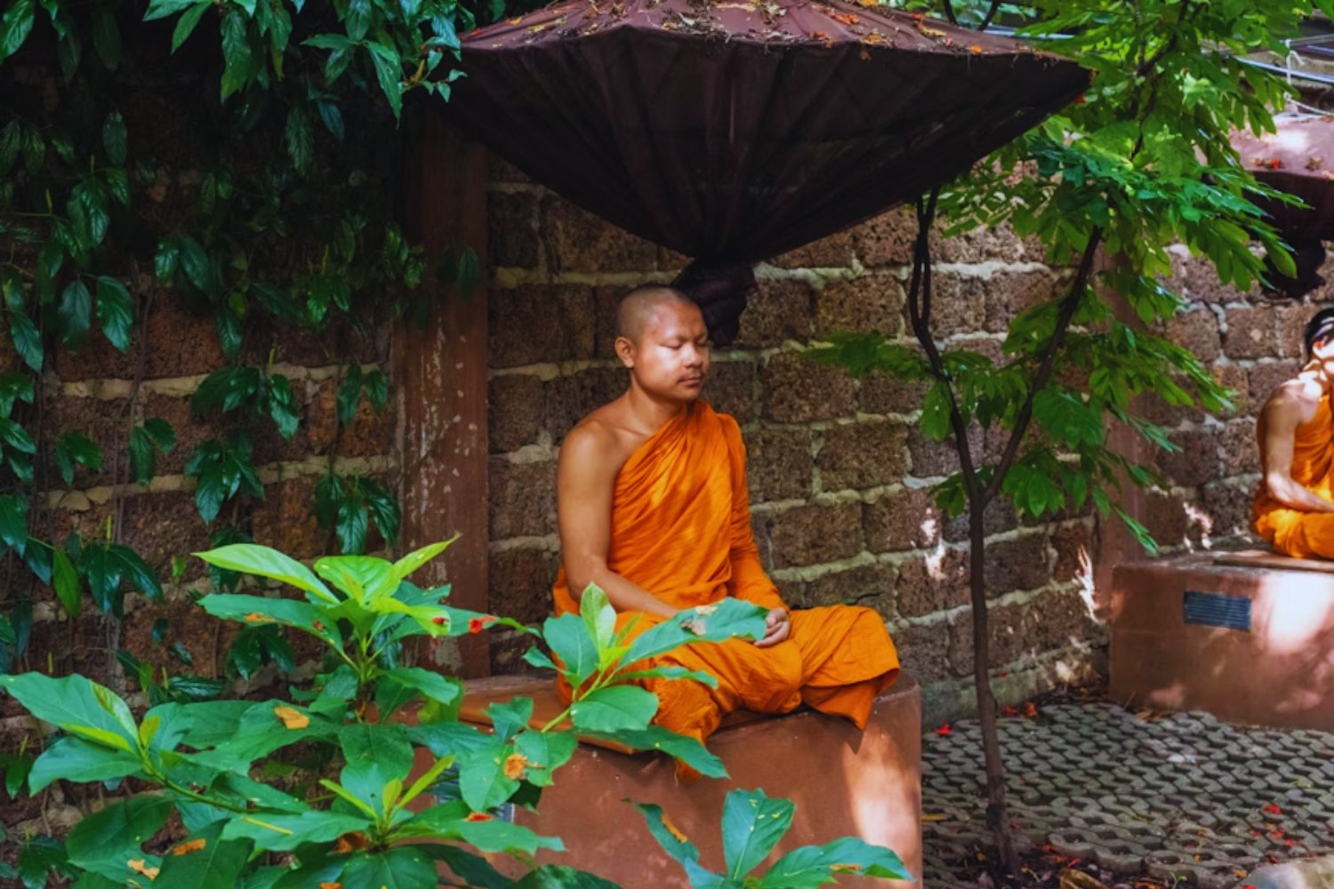 Los monjes no “desconectan” el cerebro cuando meditan. En realidad, activan dinámicas neuronales más ricas que en reposo