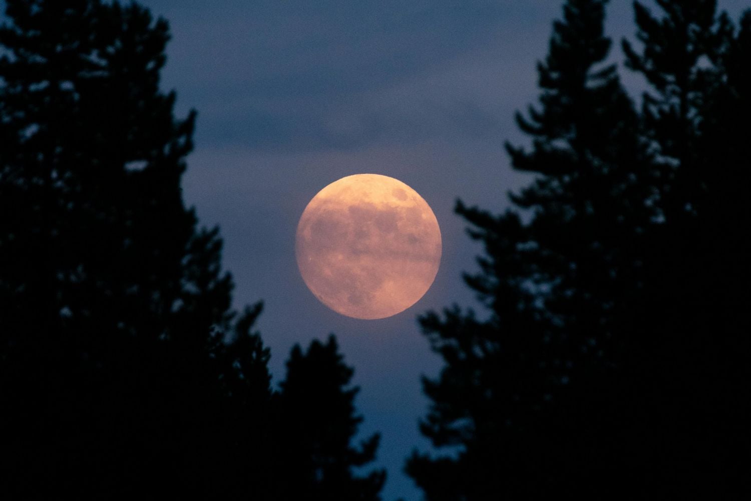 Diseño Sin Título 2026 02 04t113816.776