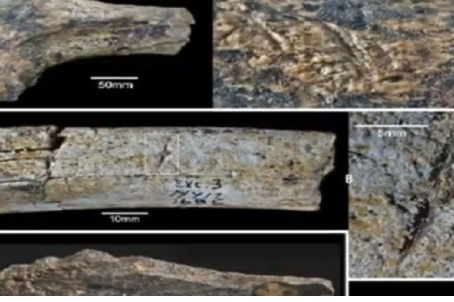 Diseño Sin Título 2026 02 04t120805.990