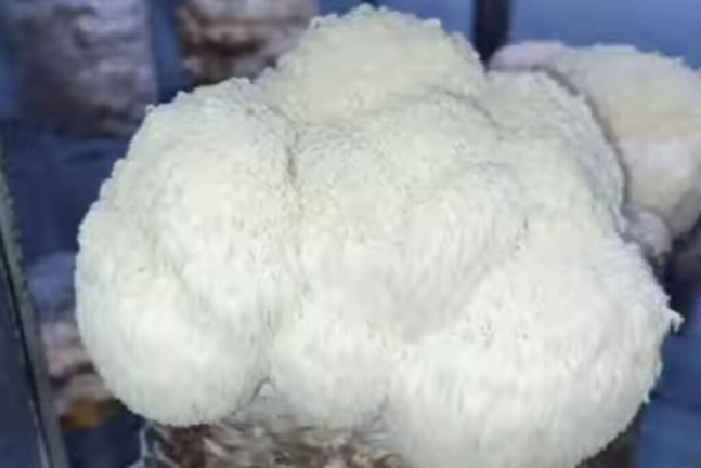 Diseño Sin Título 2026 02 05t113543.002