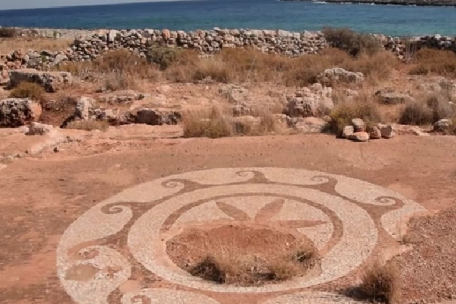 Diseño Sin Título 2026 02 05t170801.604