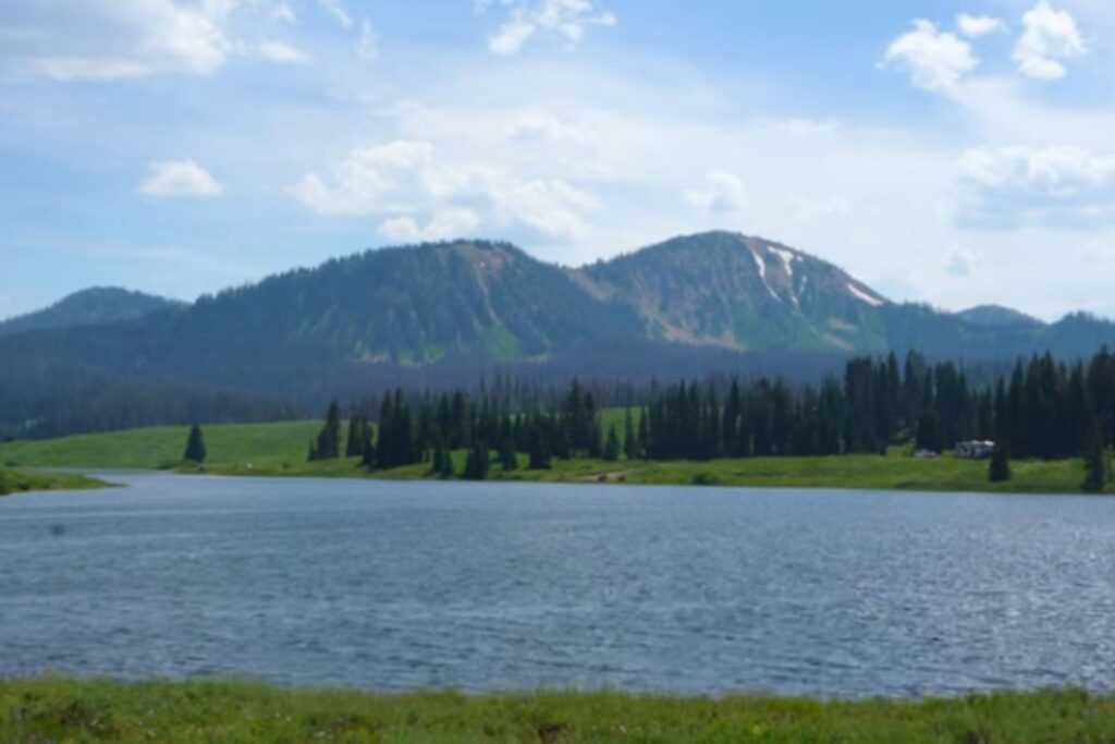 Diseño Sin Título 2026 02 07t125313.202